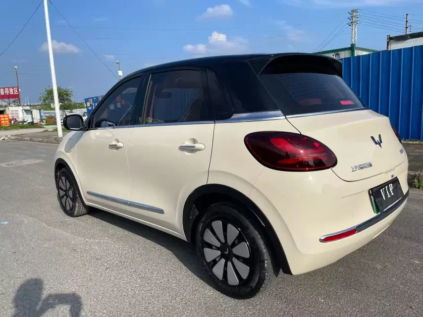 Wuling Bingo