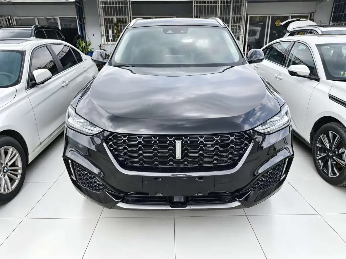 Wey Wei brand VV6