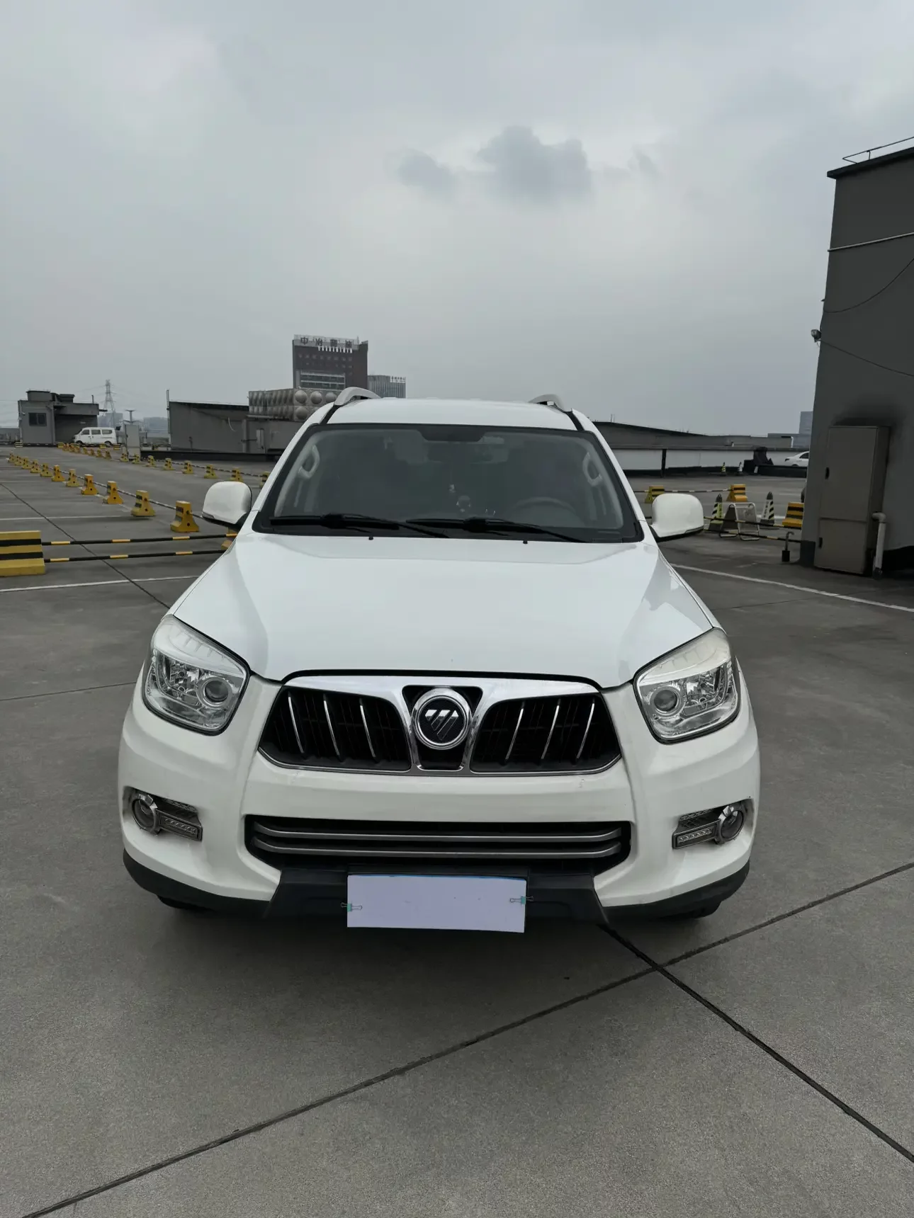 Foton Savannah