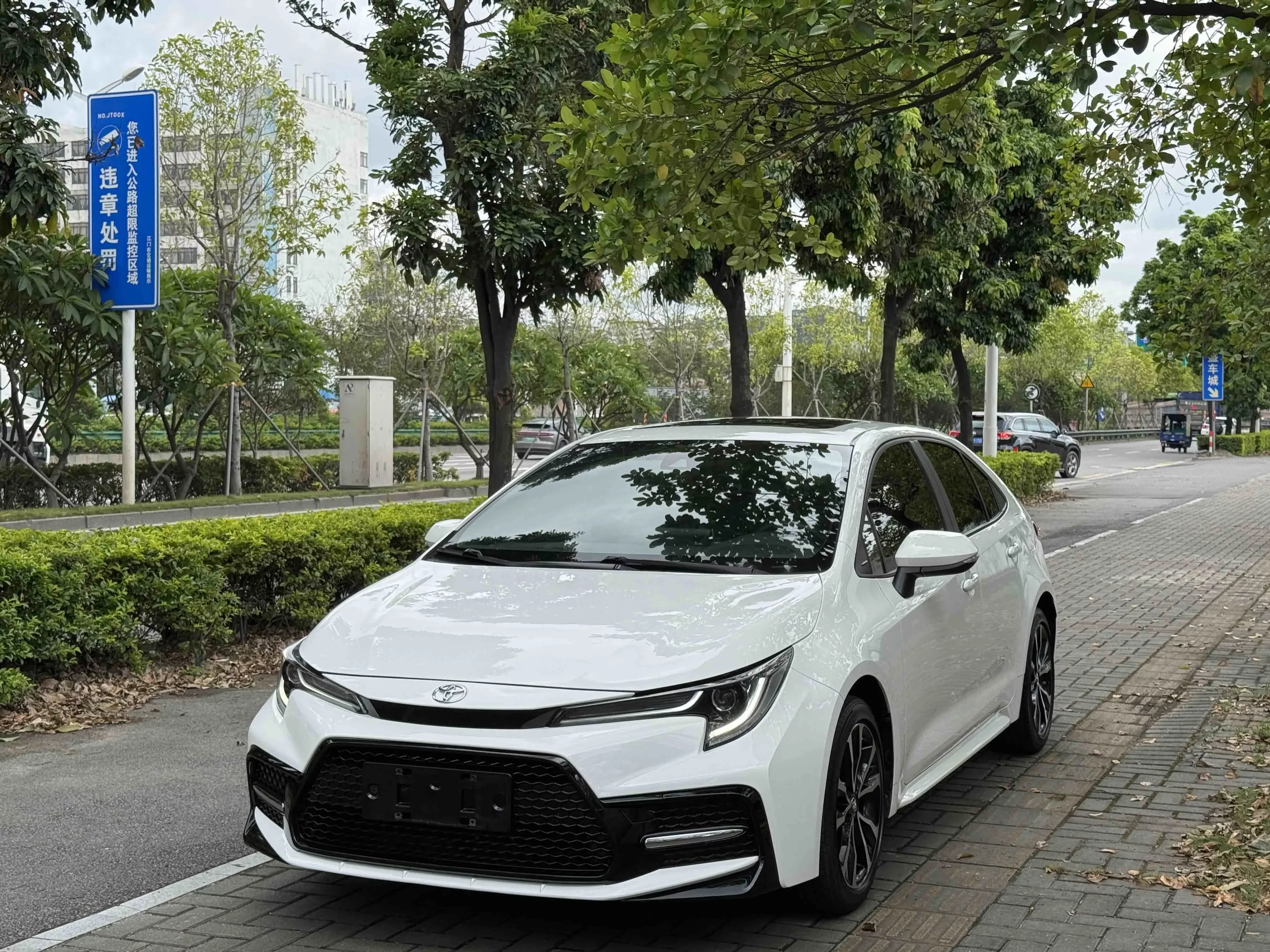 Toyota Levin