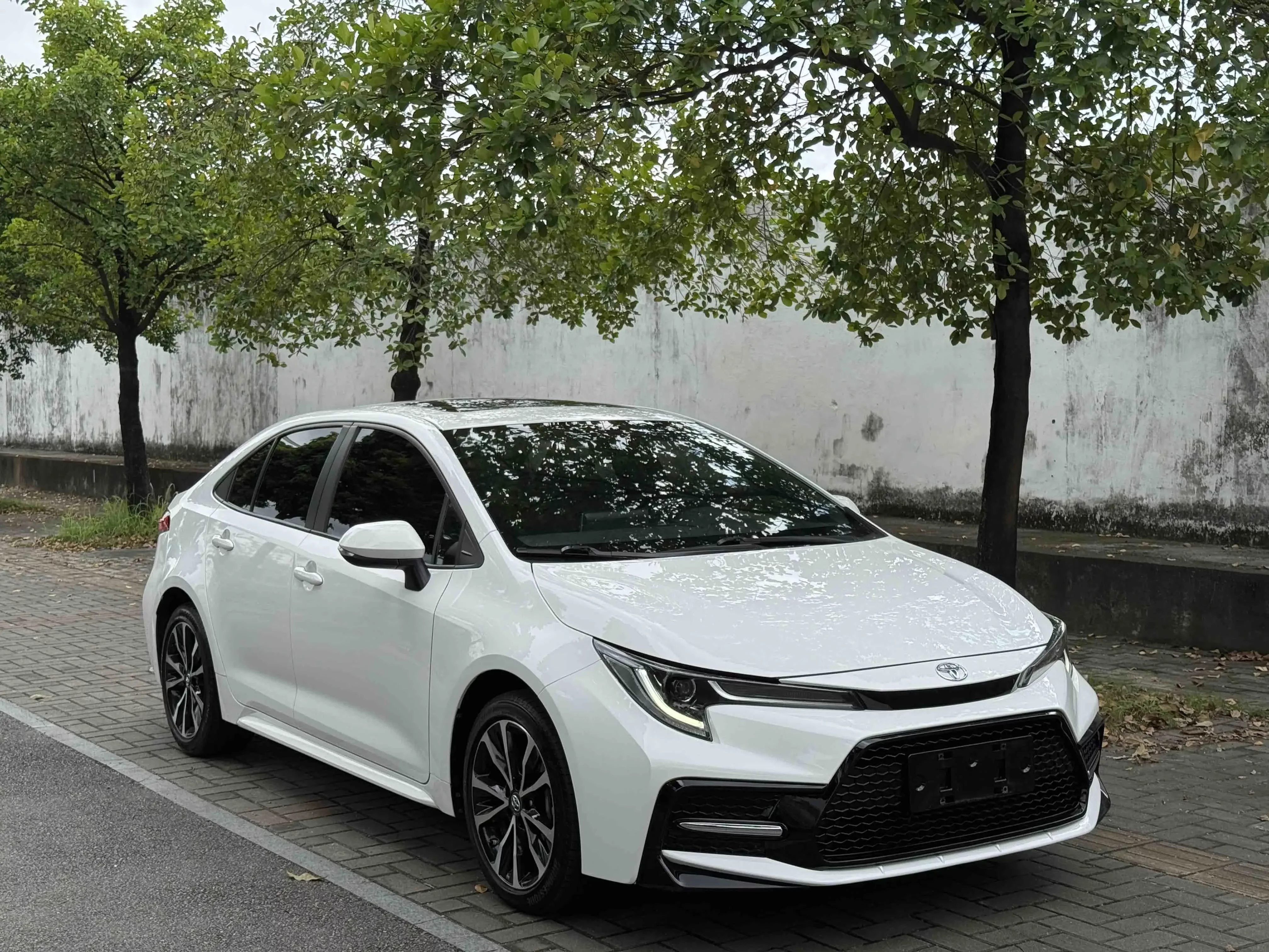 Toyota Levin