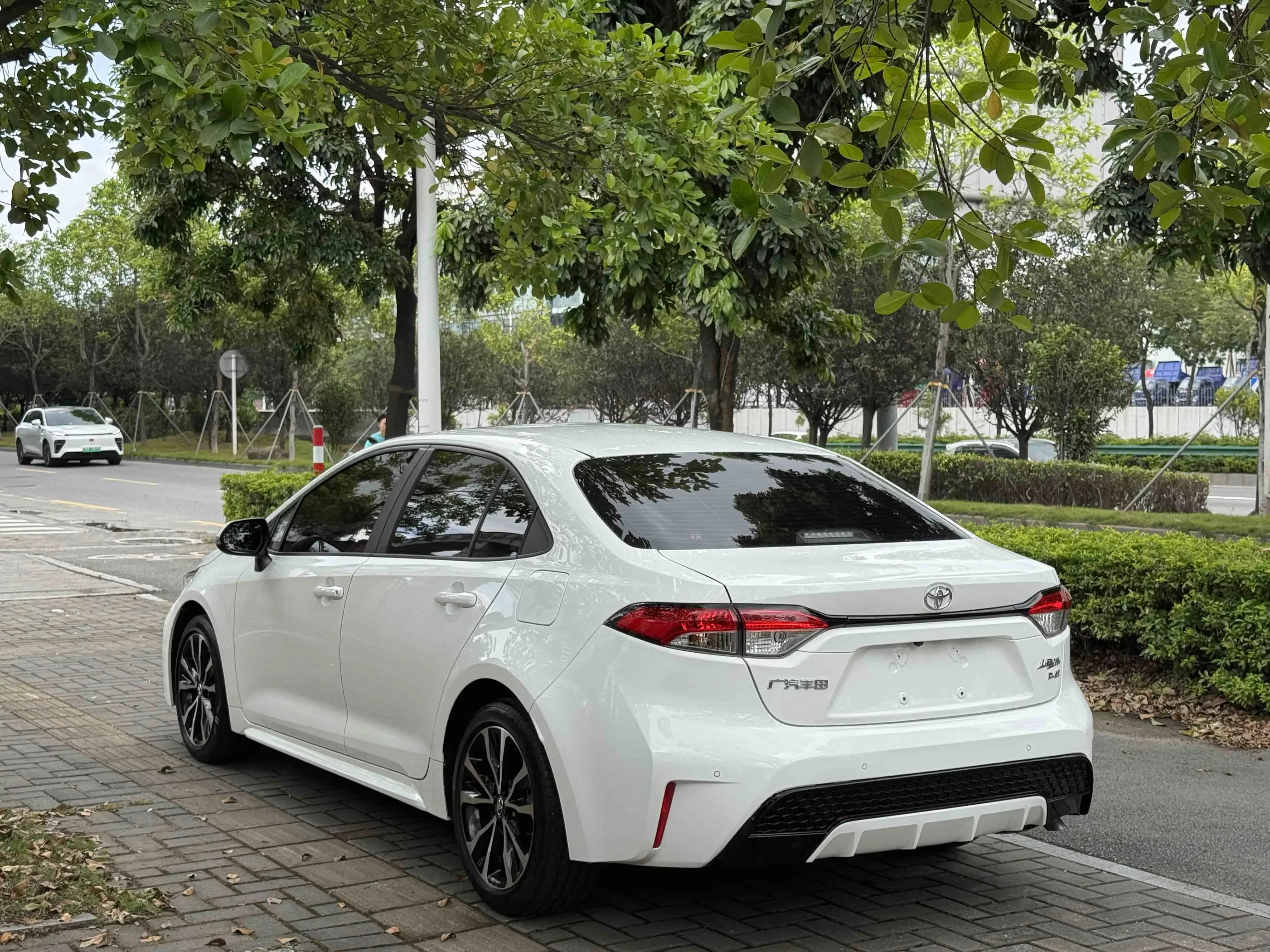 Toyota Levin