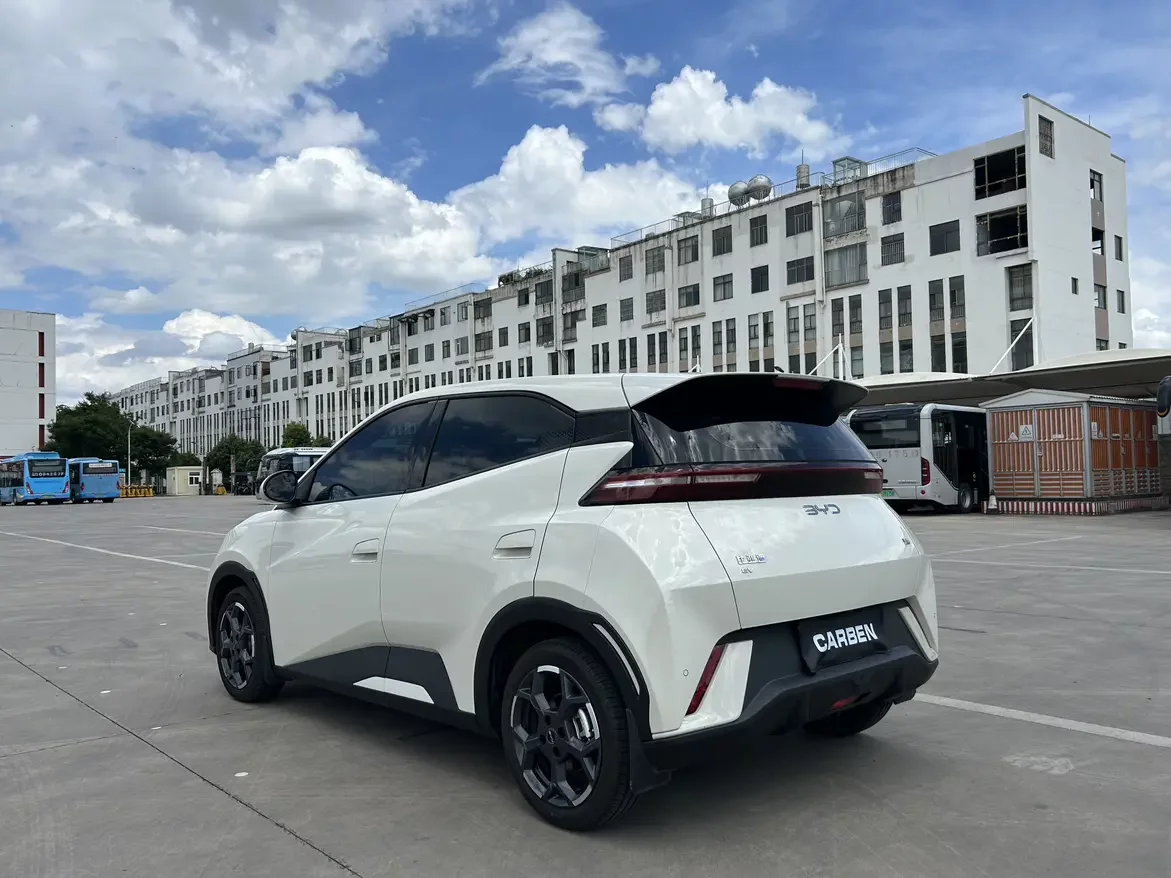 BYD seagull