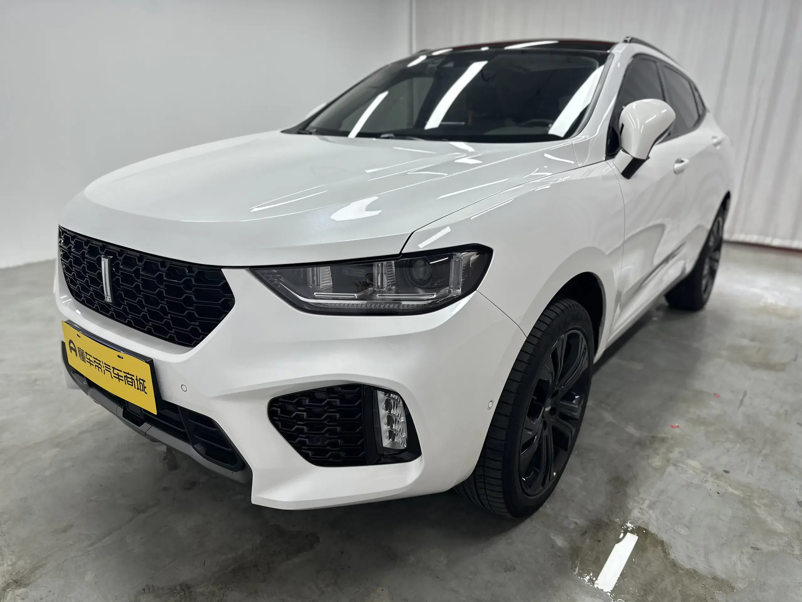 Wey Wei brand VV5