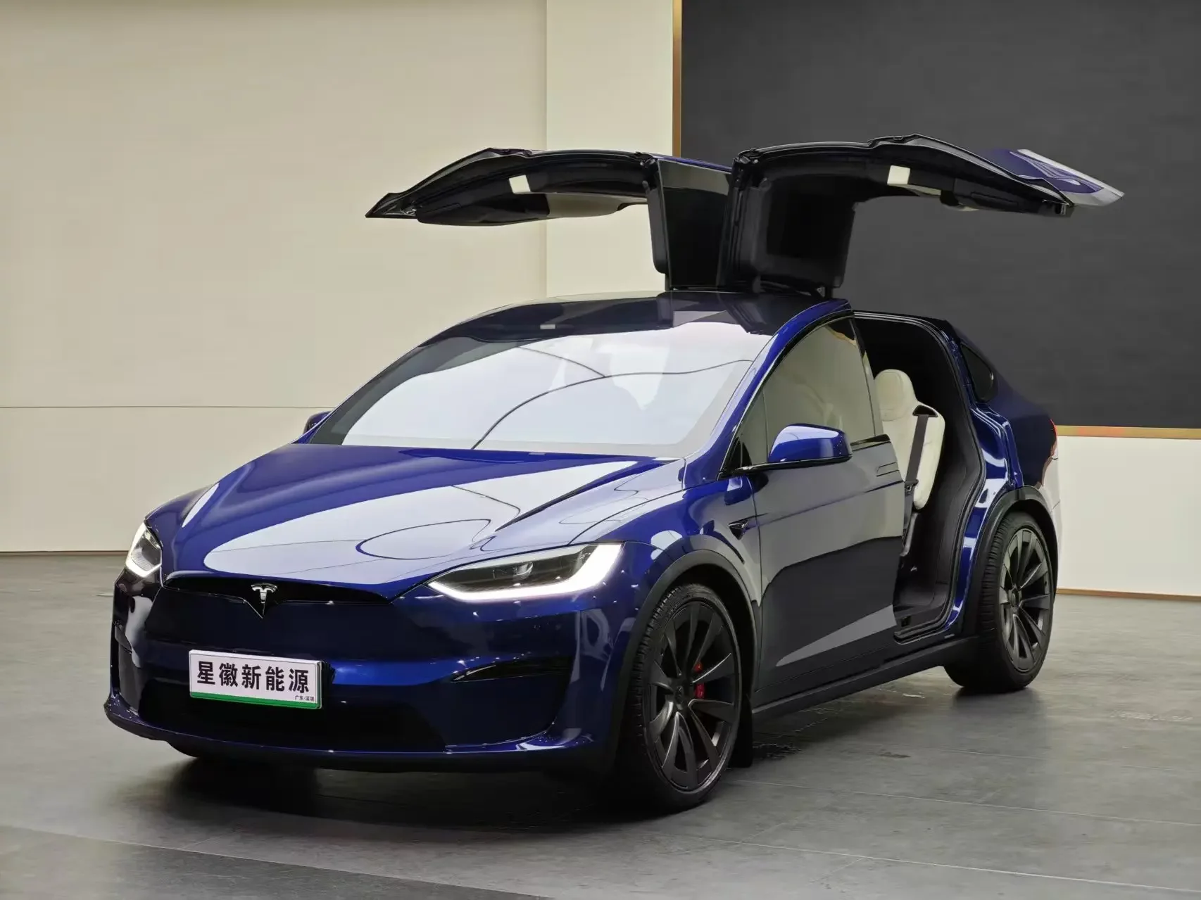 Tesla Model X