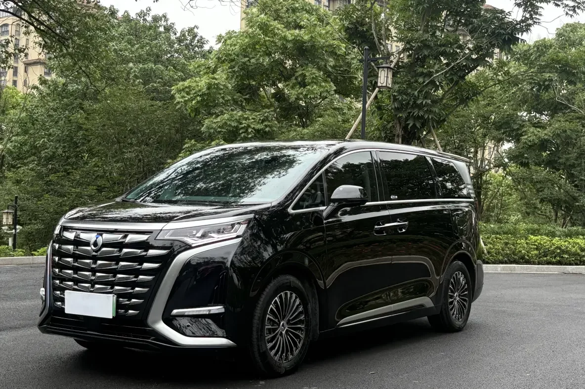 Denza D9 DM