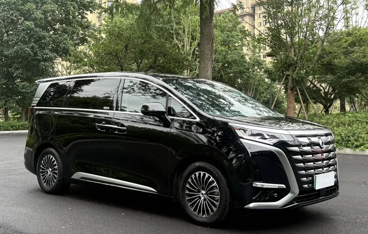 Denza D9 DM