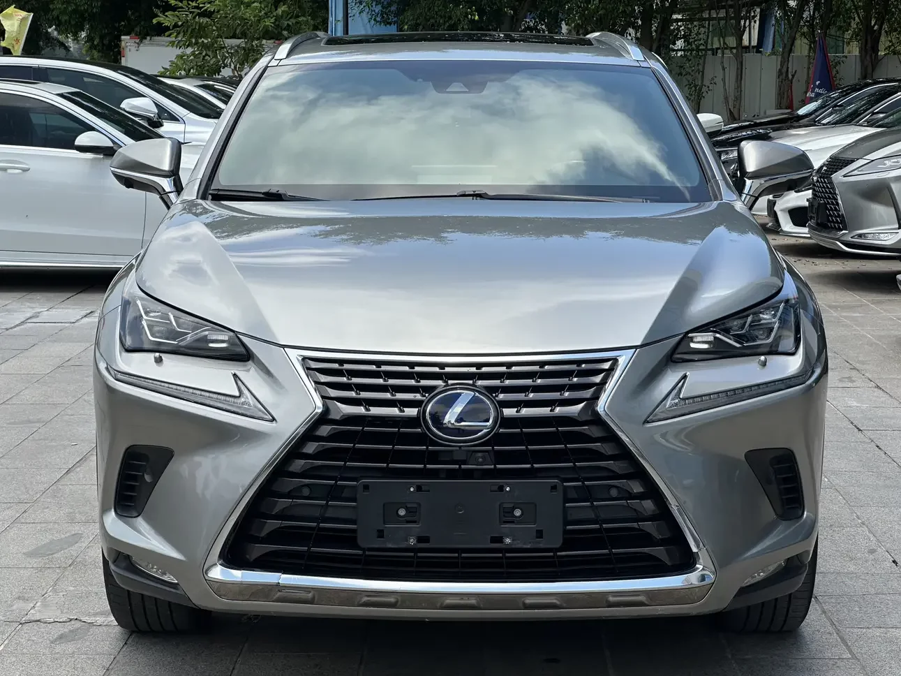Lexus NX