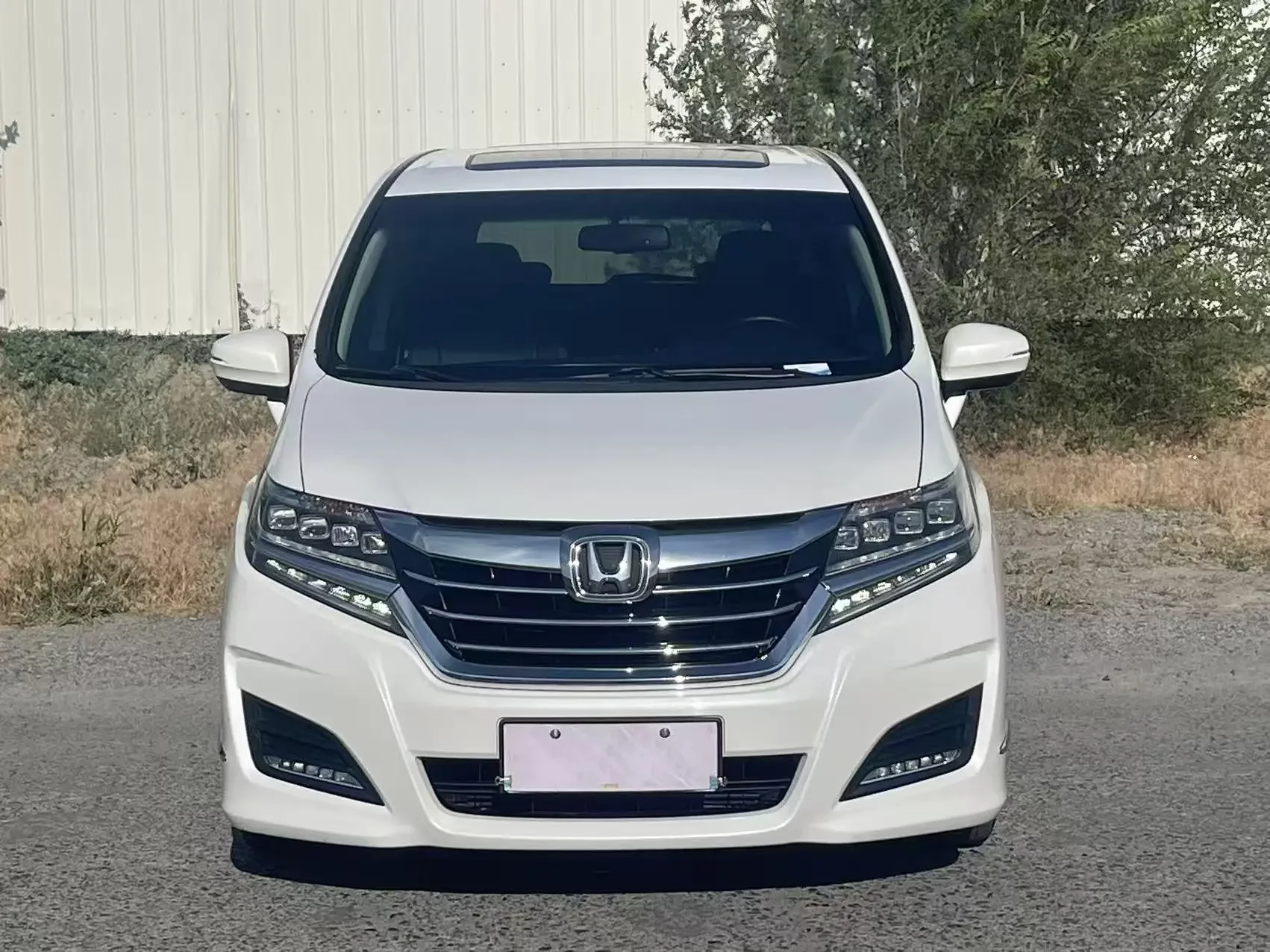 Honda Elysion (Alison)  из Китая