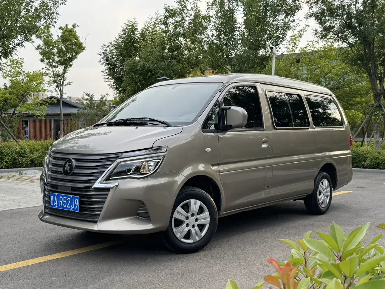Forthing Lingzhi