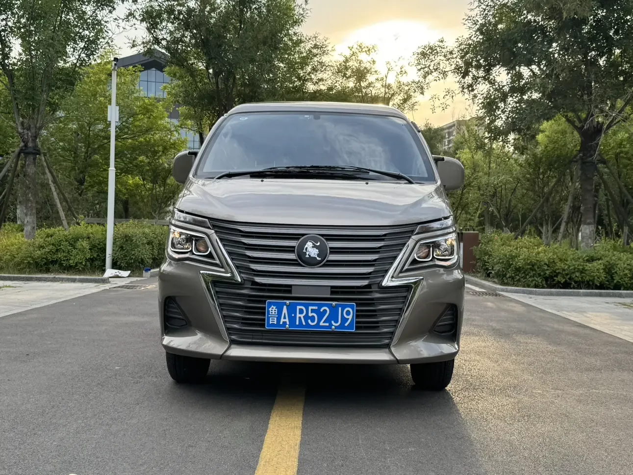 Forthing Lingzhi