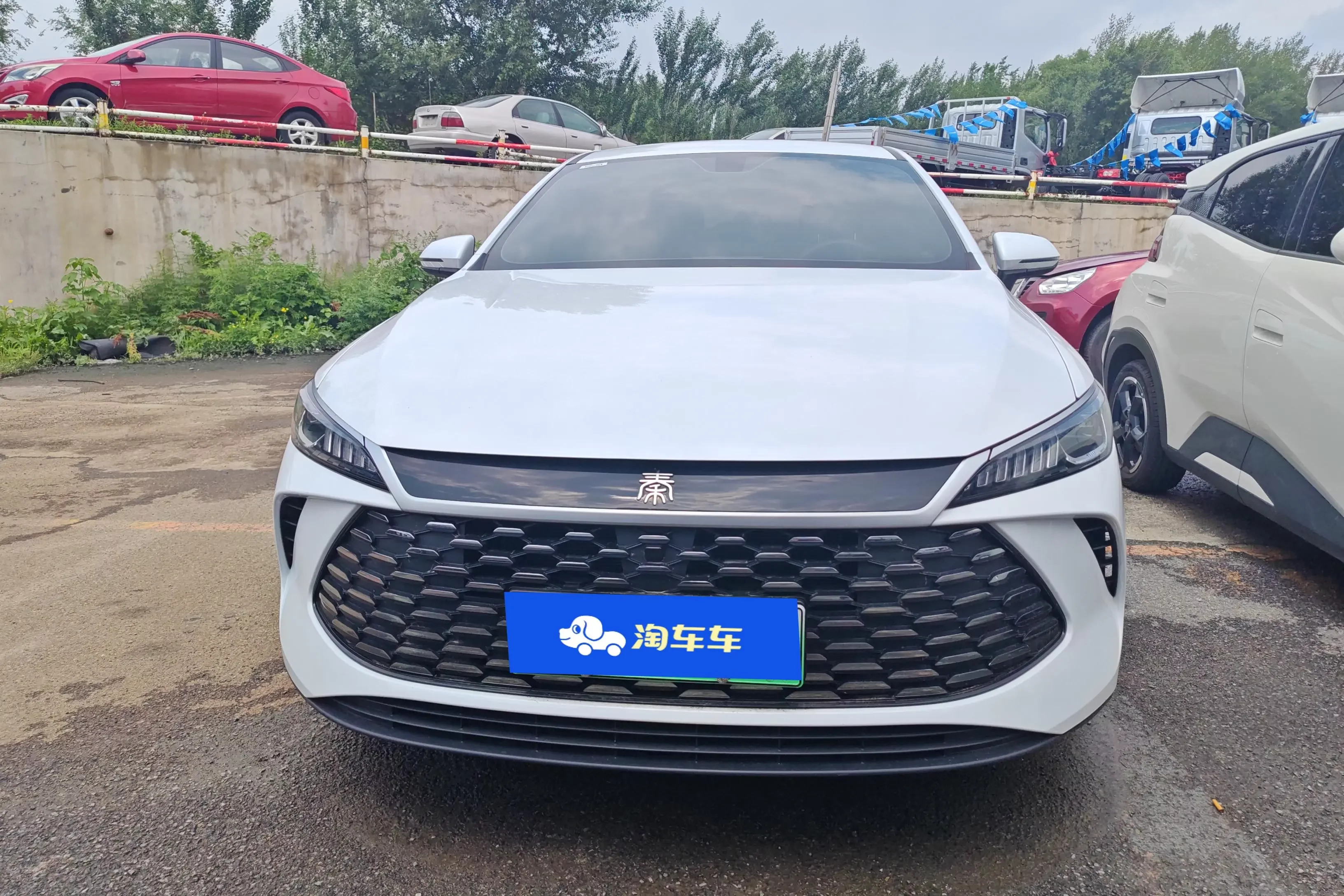 BYD Qin PLUS DM
