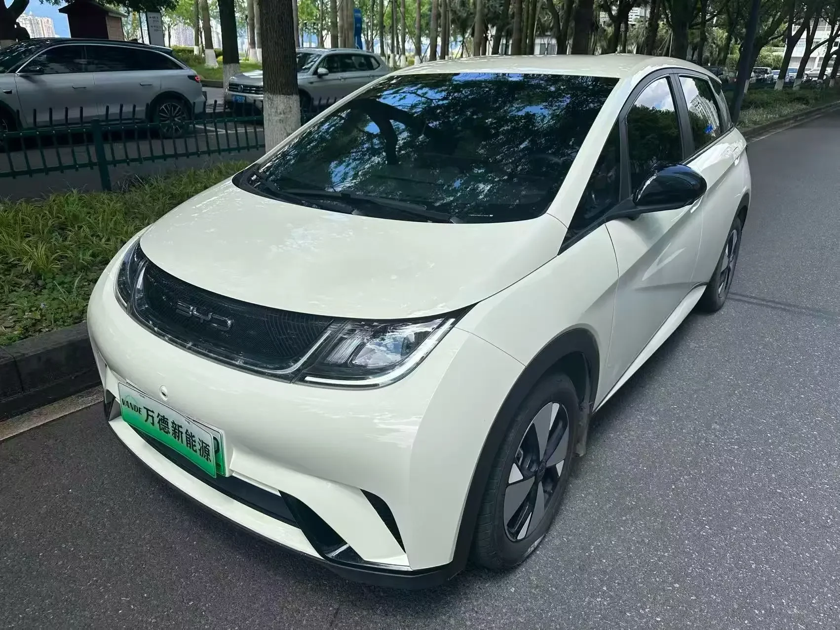BYD dolphin