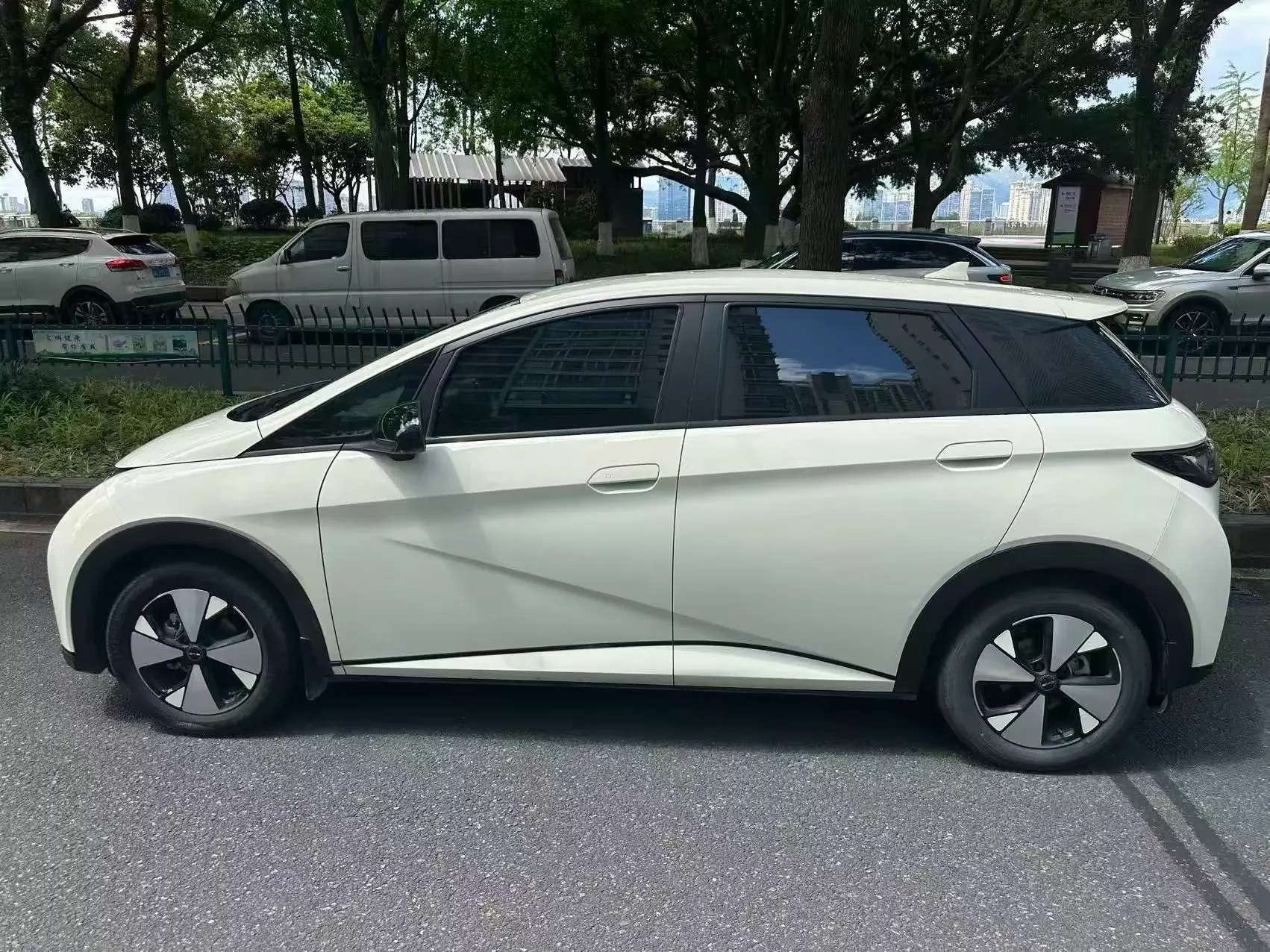 BYD dolphin