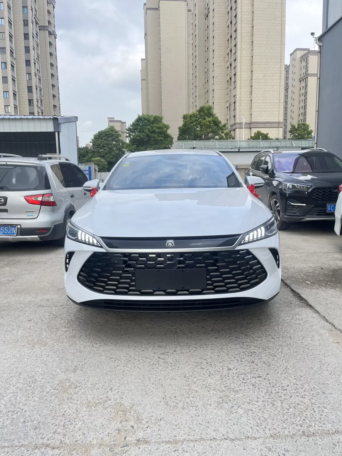 BYD Qin PLUS DM