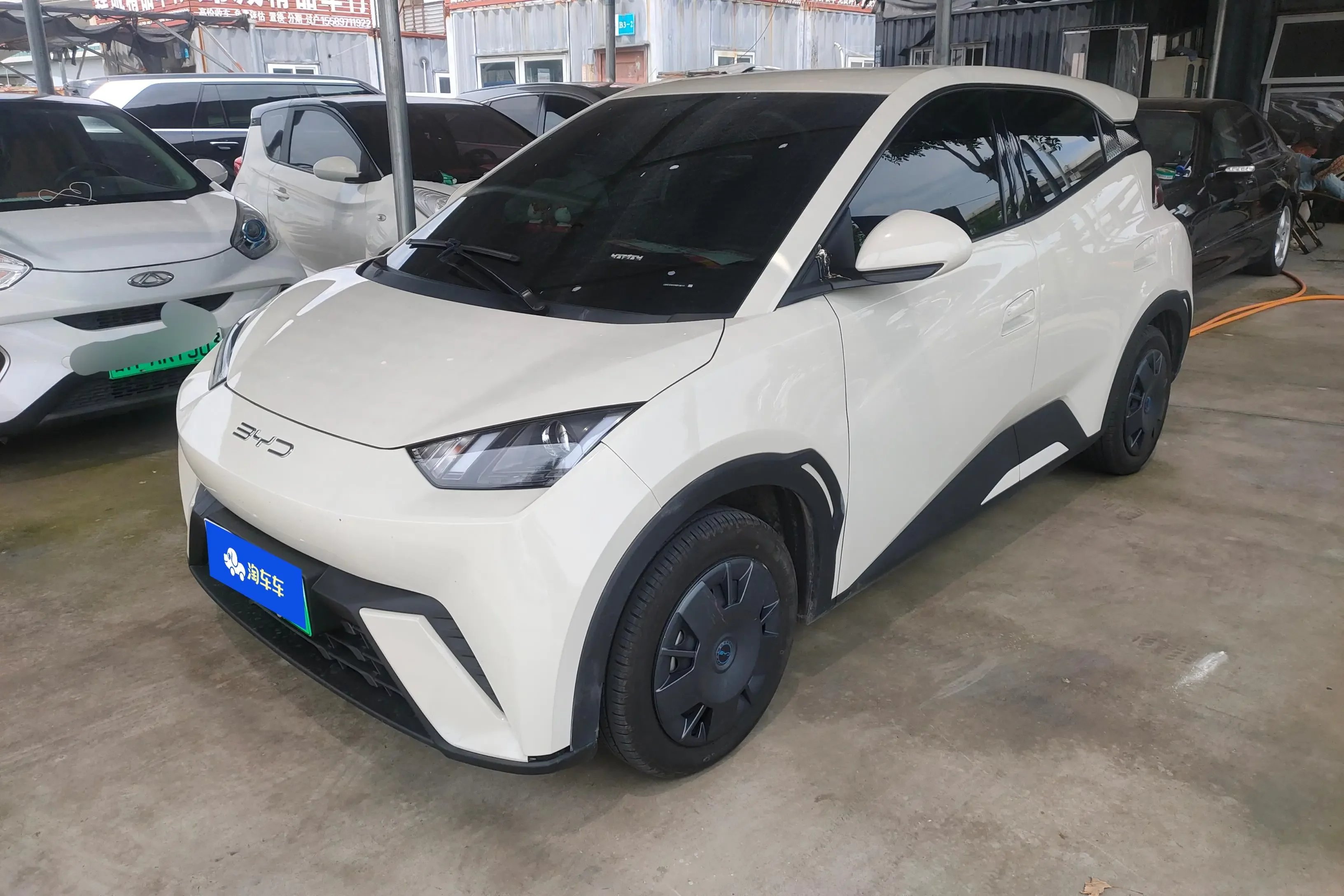 BYD seagull