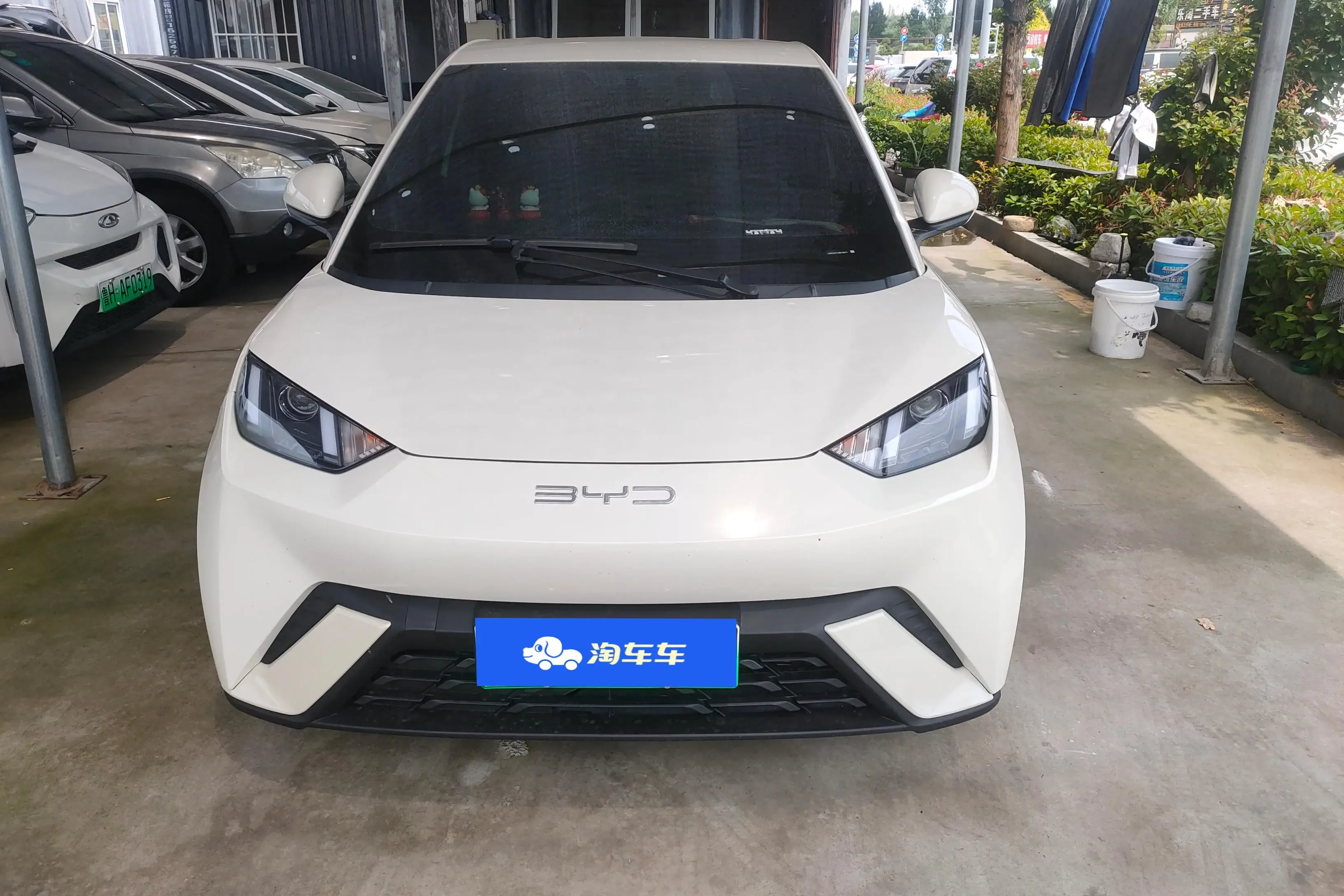 BYD seagull