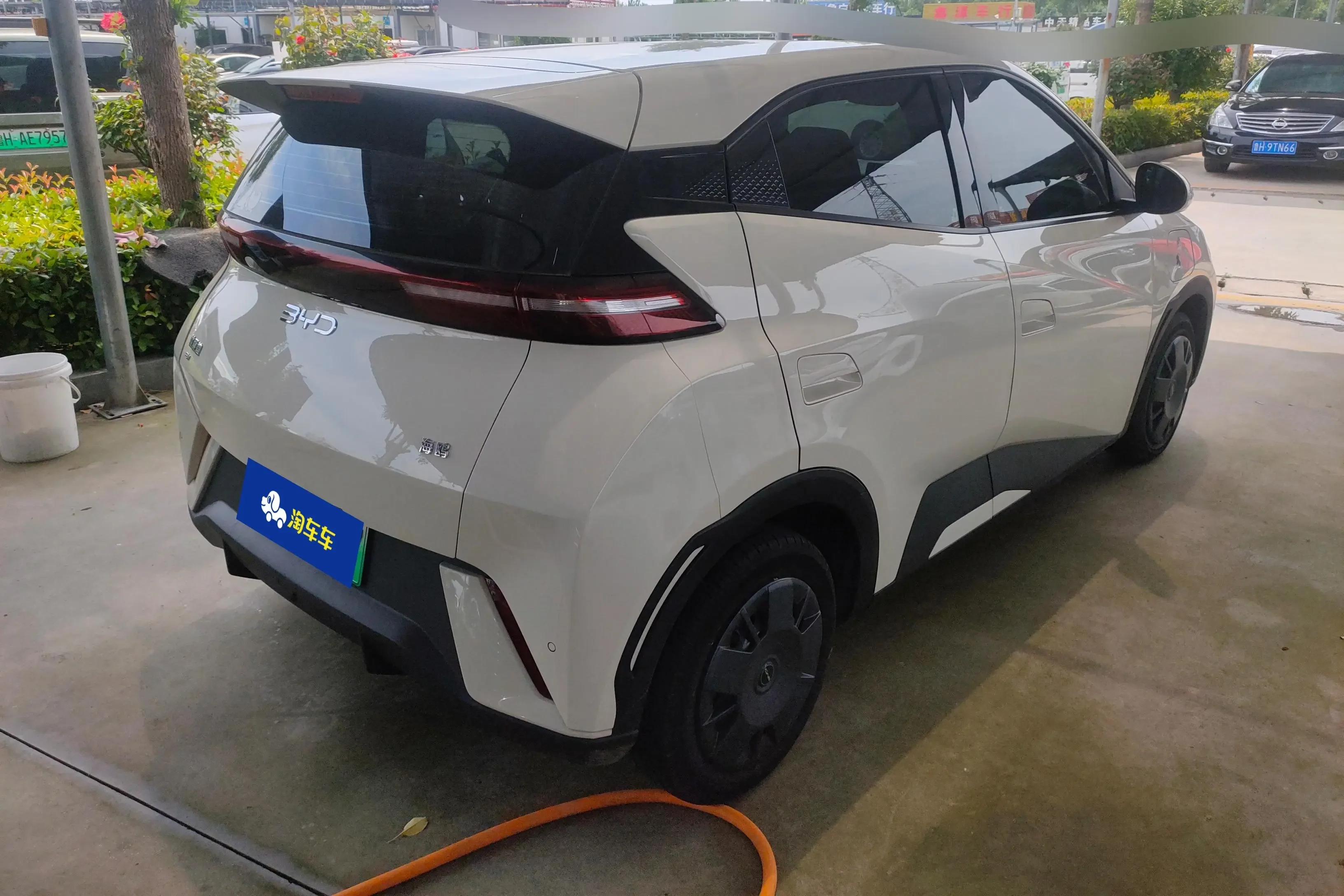 BYD seagull