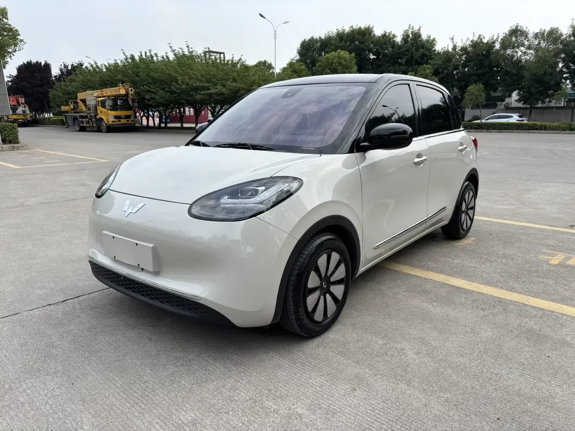Wuling Bingo