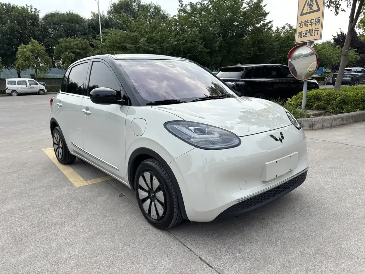 Wuling Bingo