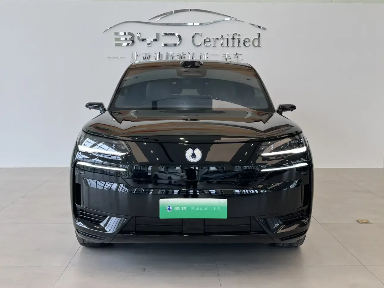 Denza Tengzhong N9 DM