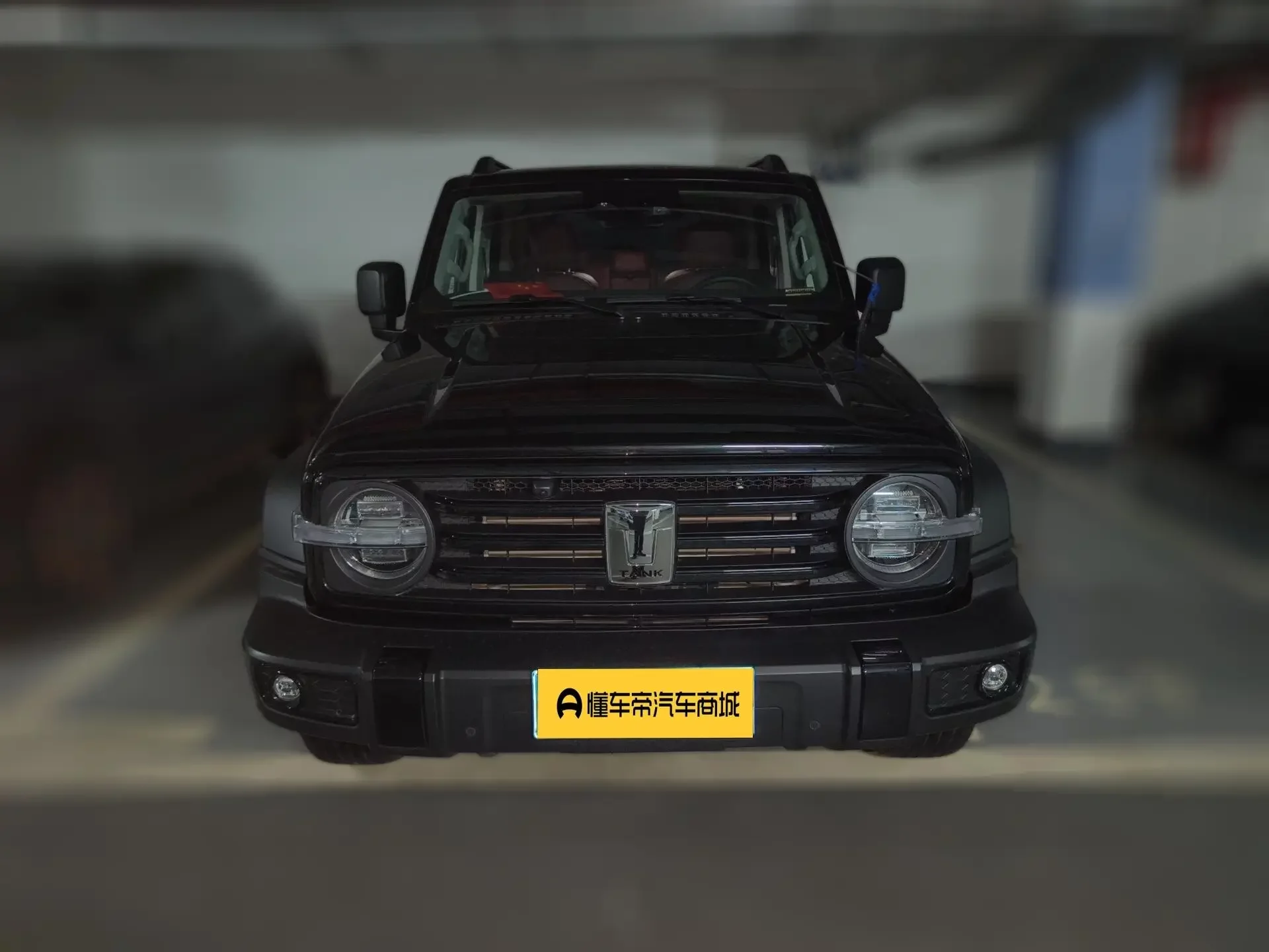 Tank 300