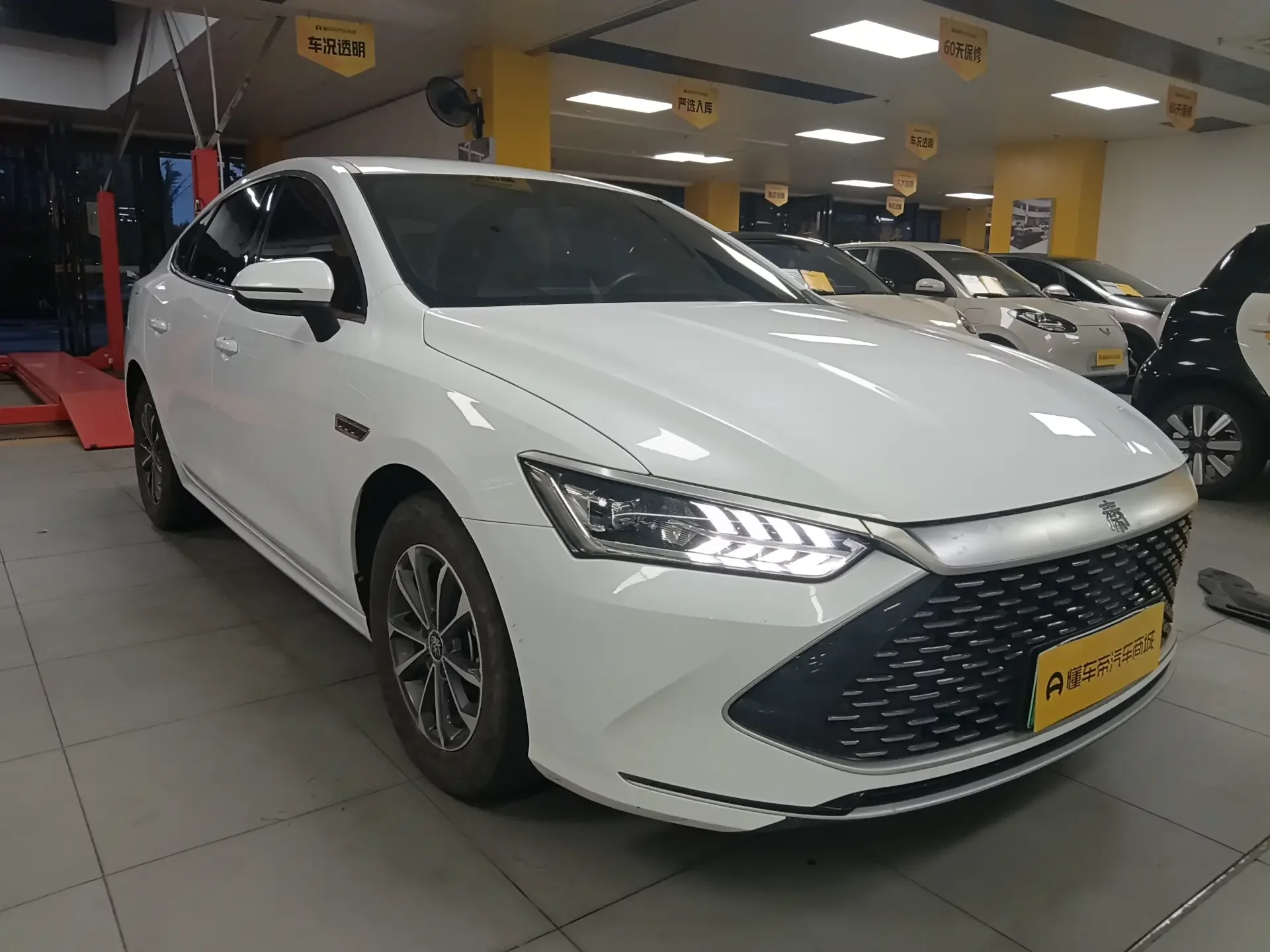 BYD Qin PLUS DM