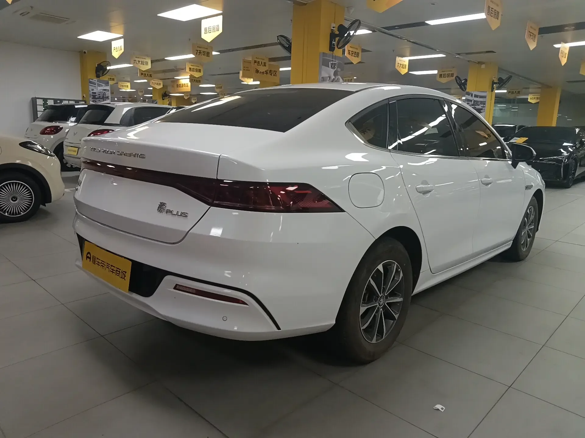 BYD Qin PLUS DM