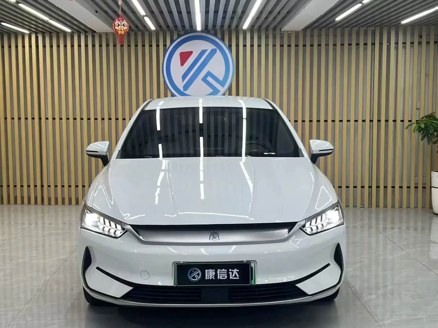 BYD Qin PLUS EV