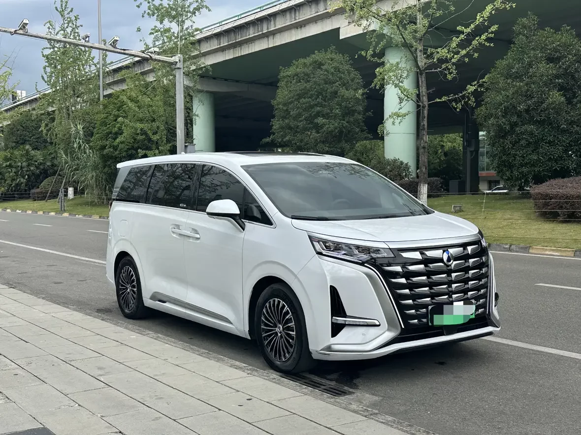 Denza D9 DM