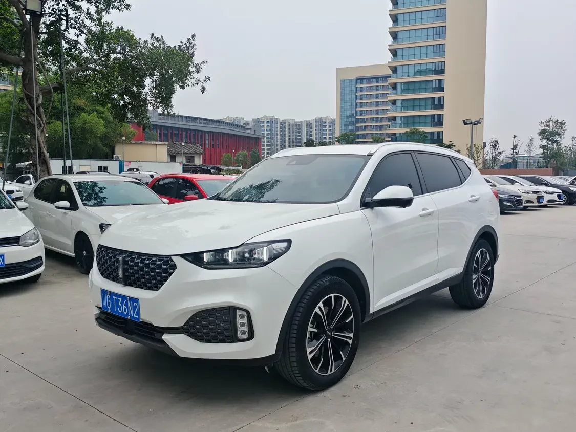 Wey Wei brand VV6