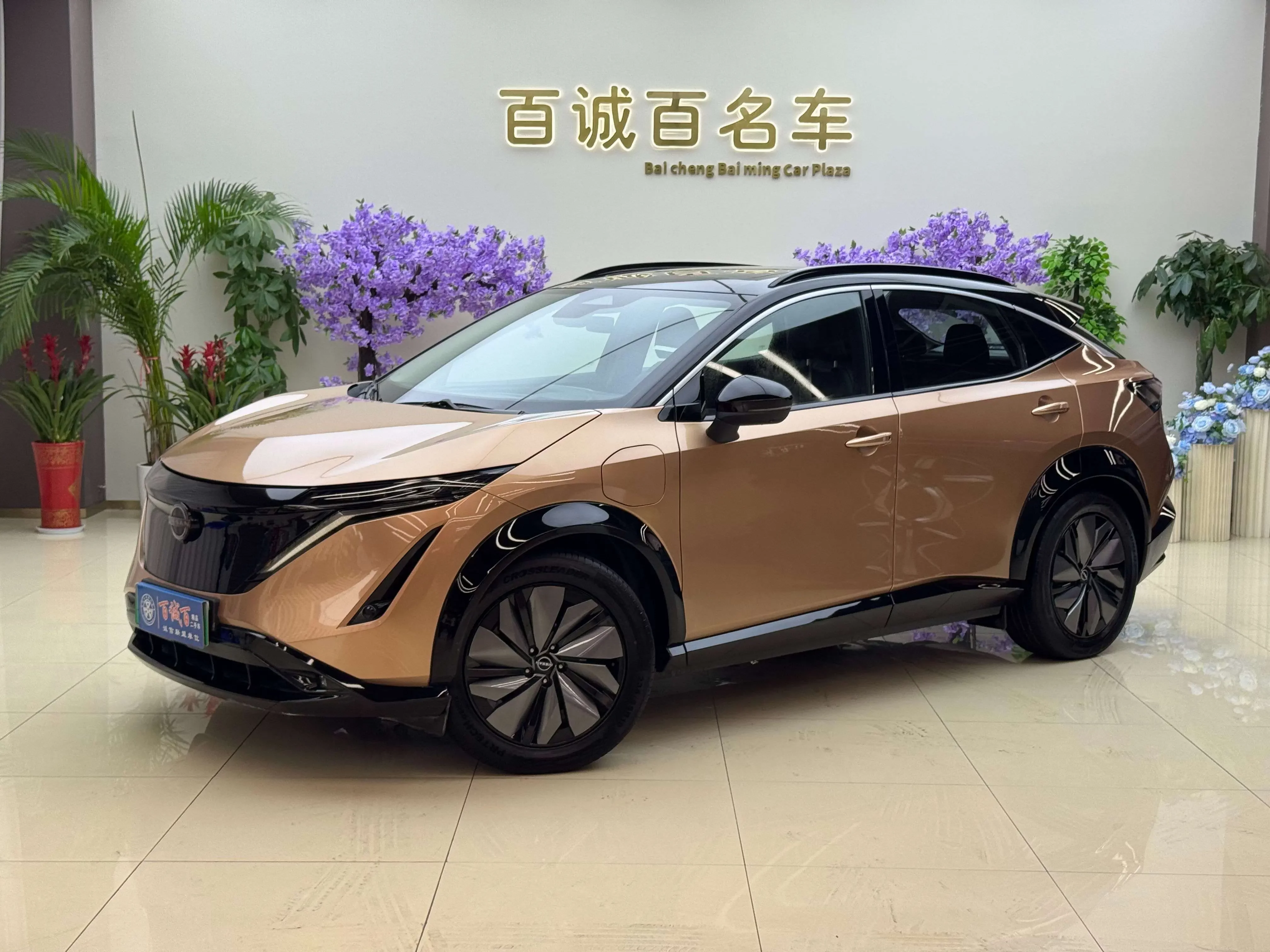 Nissan ARIYA  из Китая