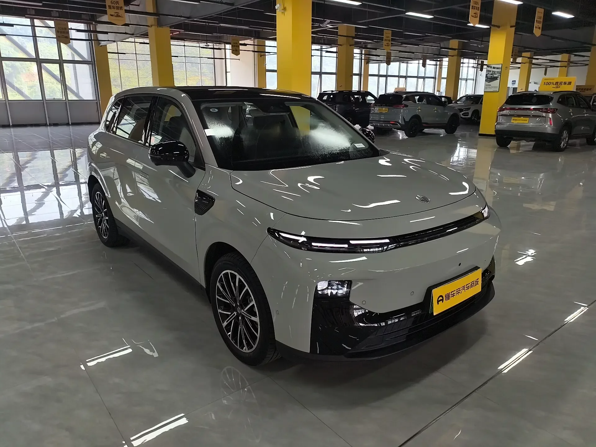 Leapmotor B10