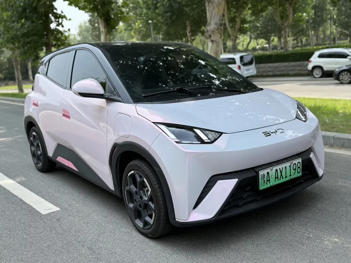 BYD seagull