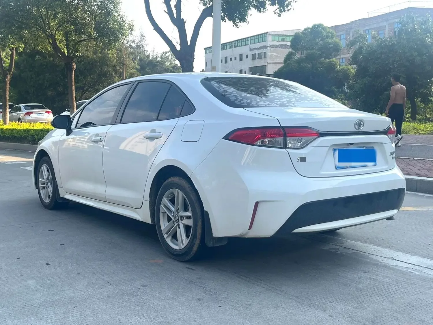 Toyota Levin