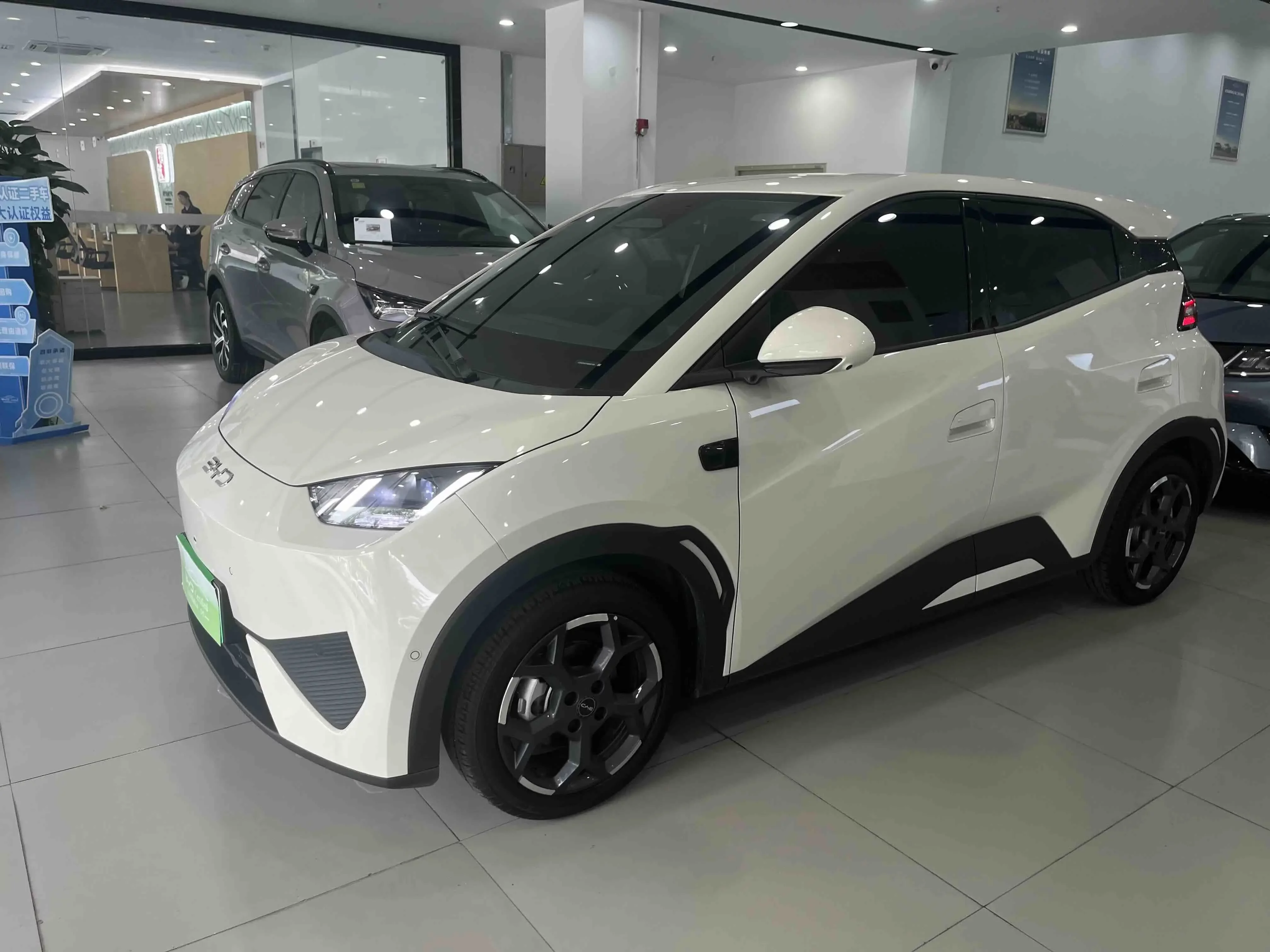 BYD seagull