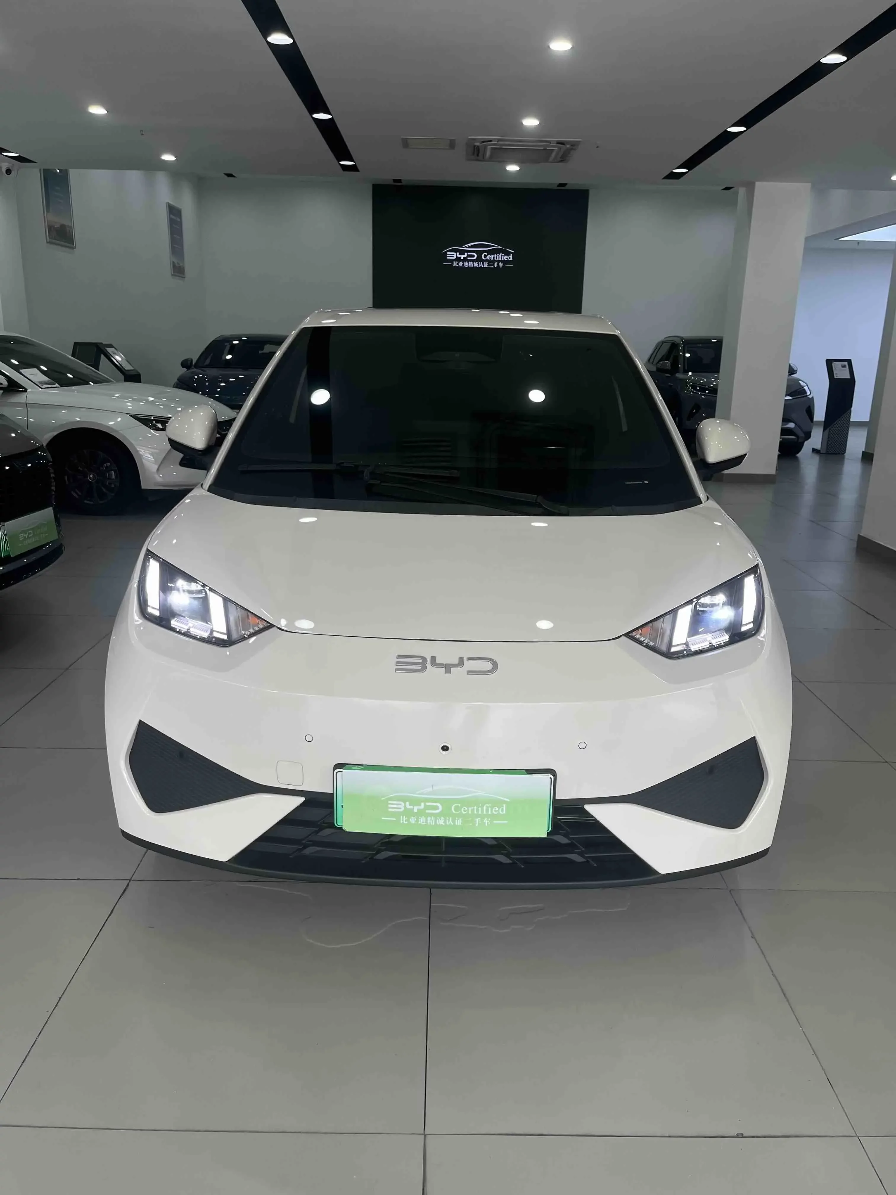 BYD seagull