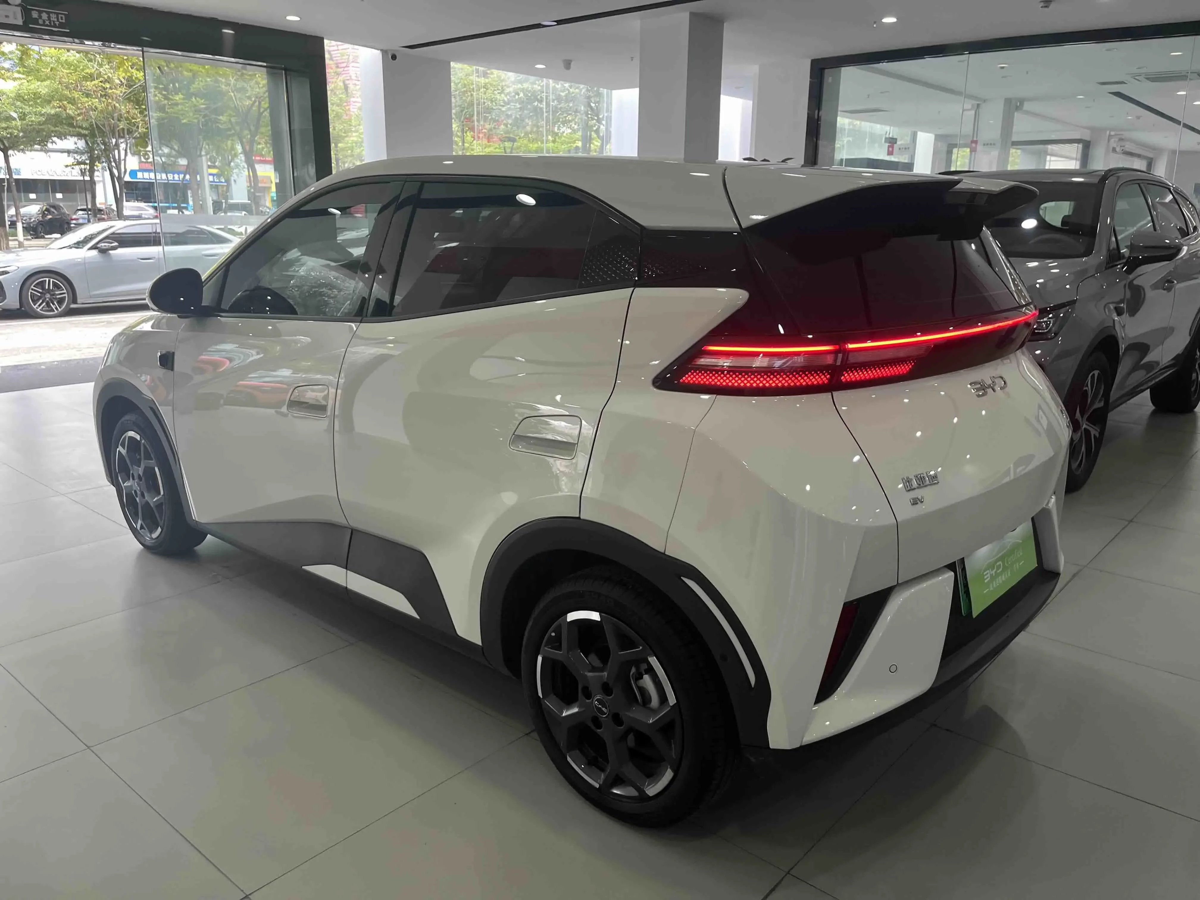 BYD seagull