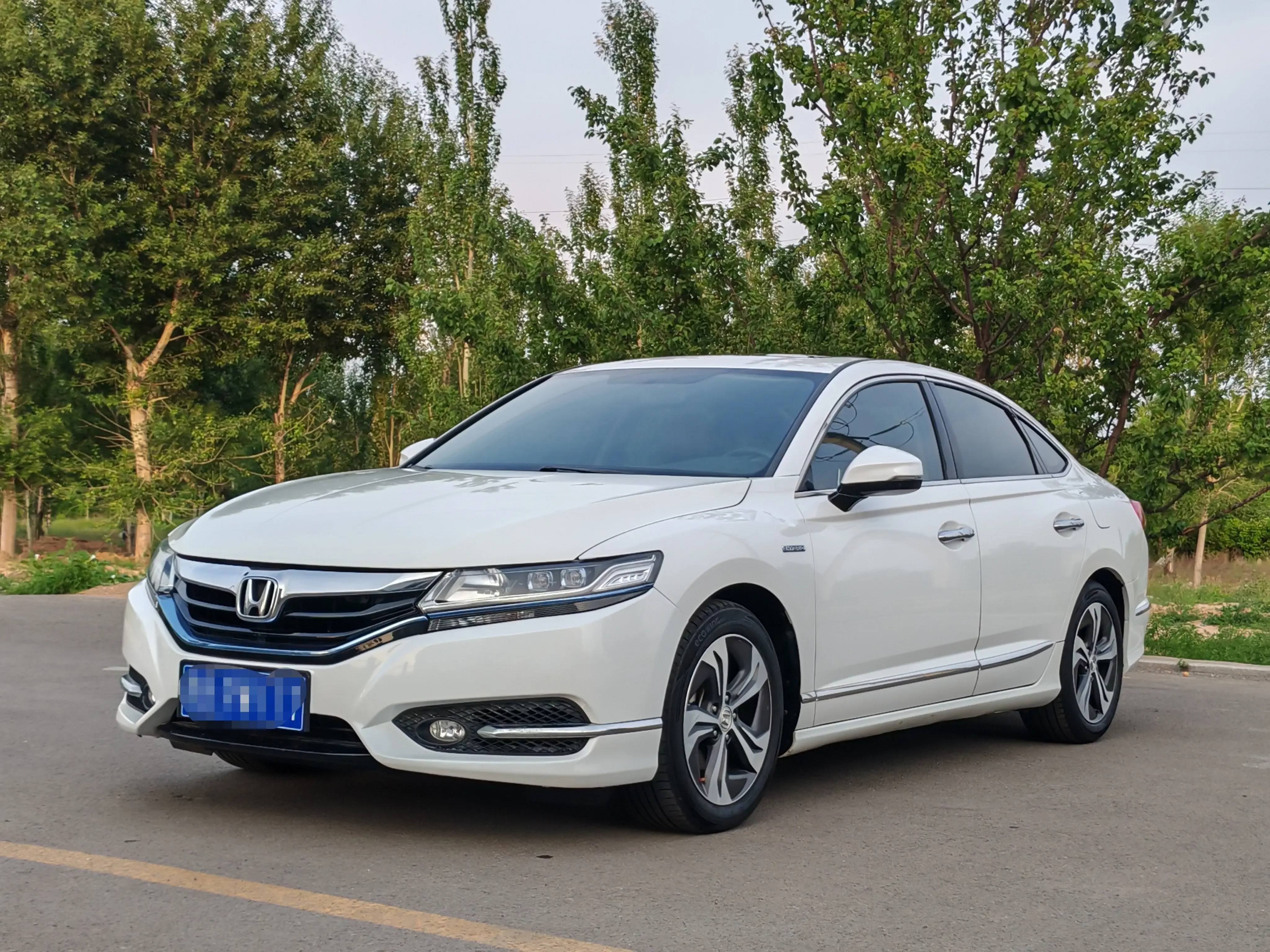 Honda Sibo Rui