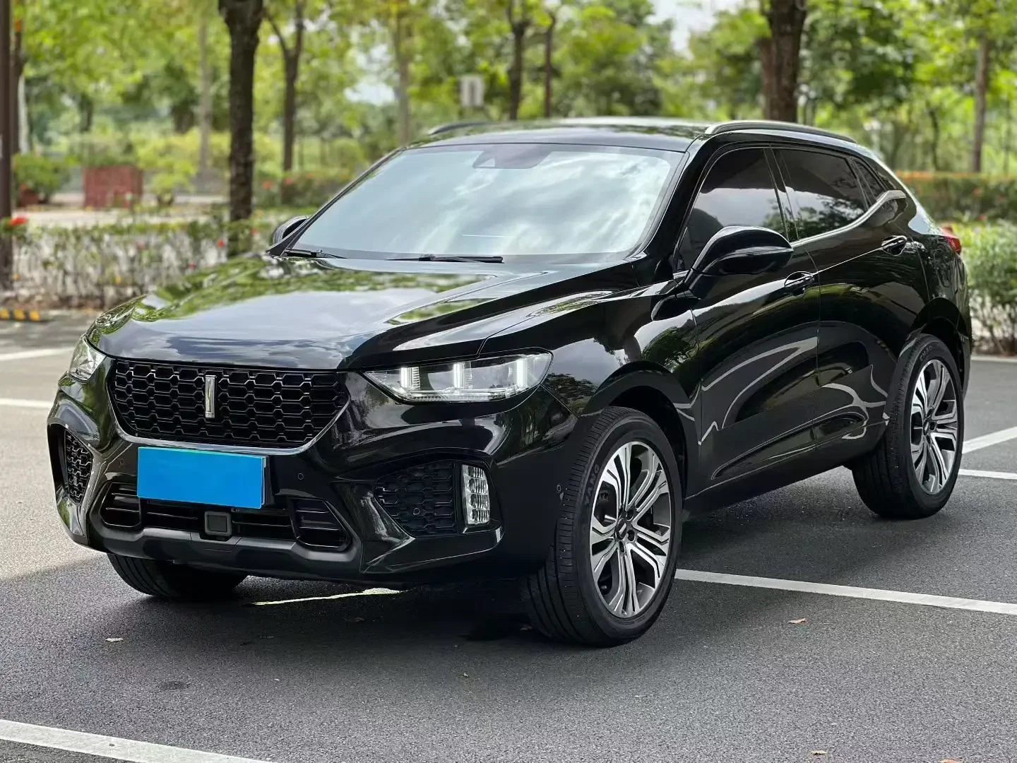 Wey Wei brand VV5