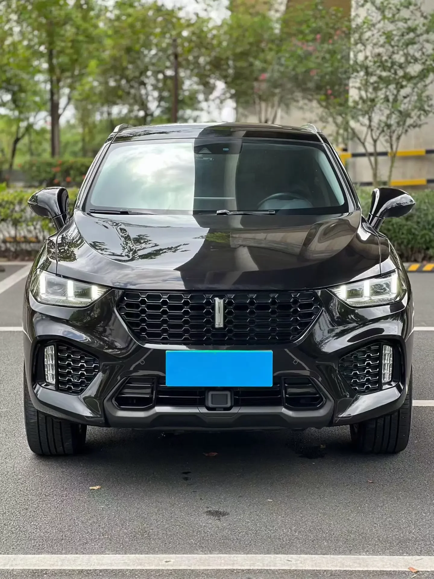 Wey Wei brand VV5