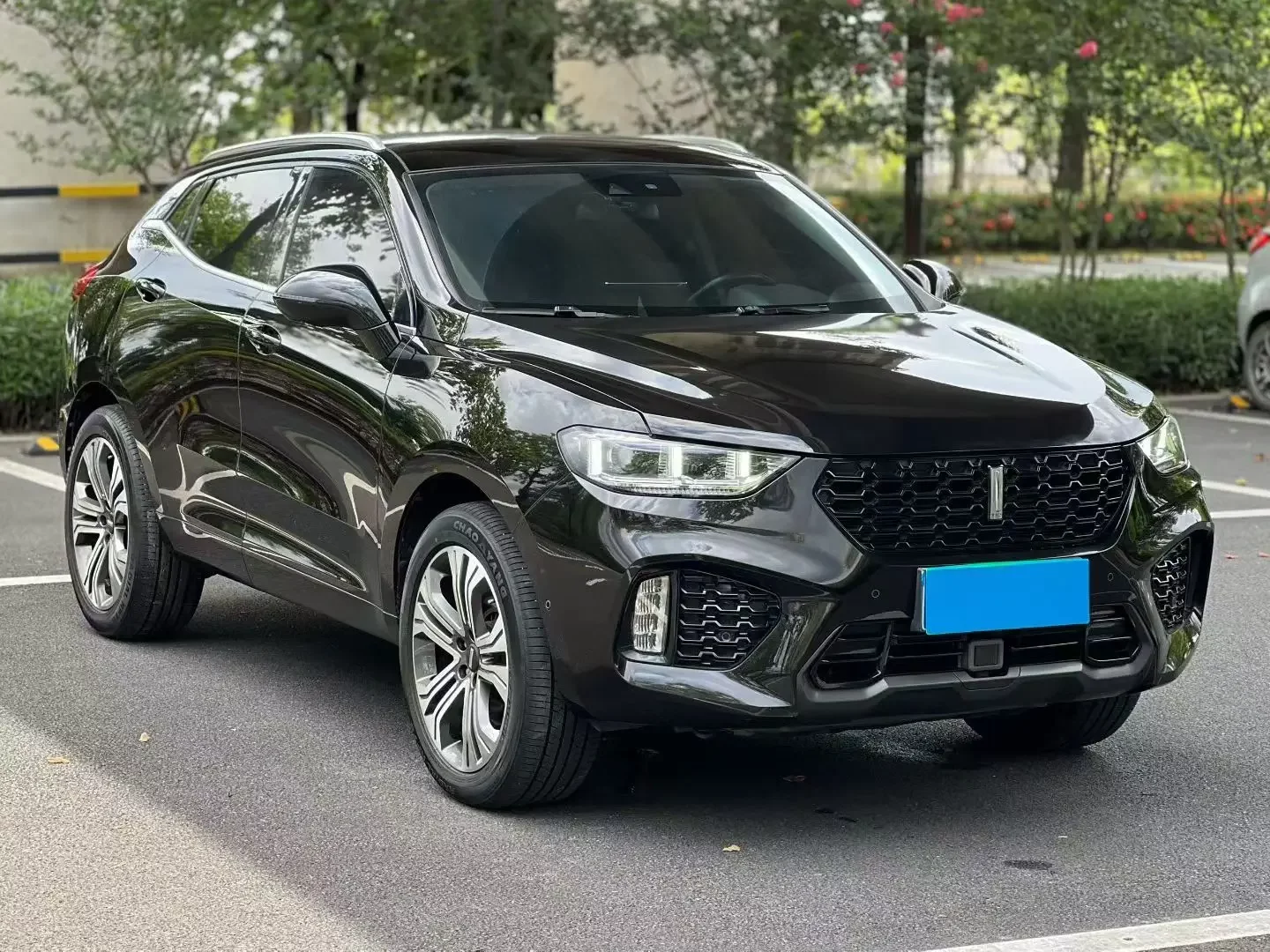 Wey Wei brand VV5
