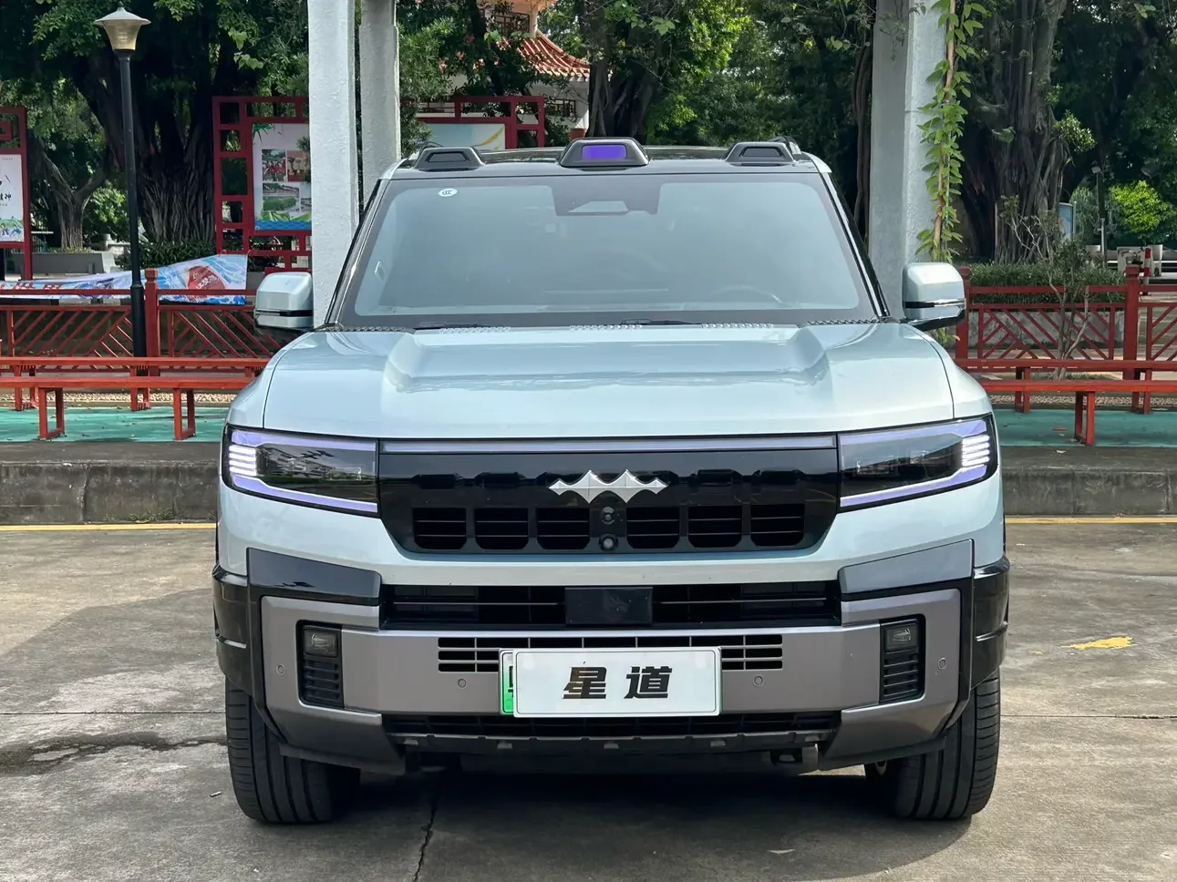 BYD Leopard Leopard 8