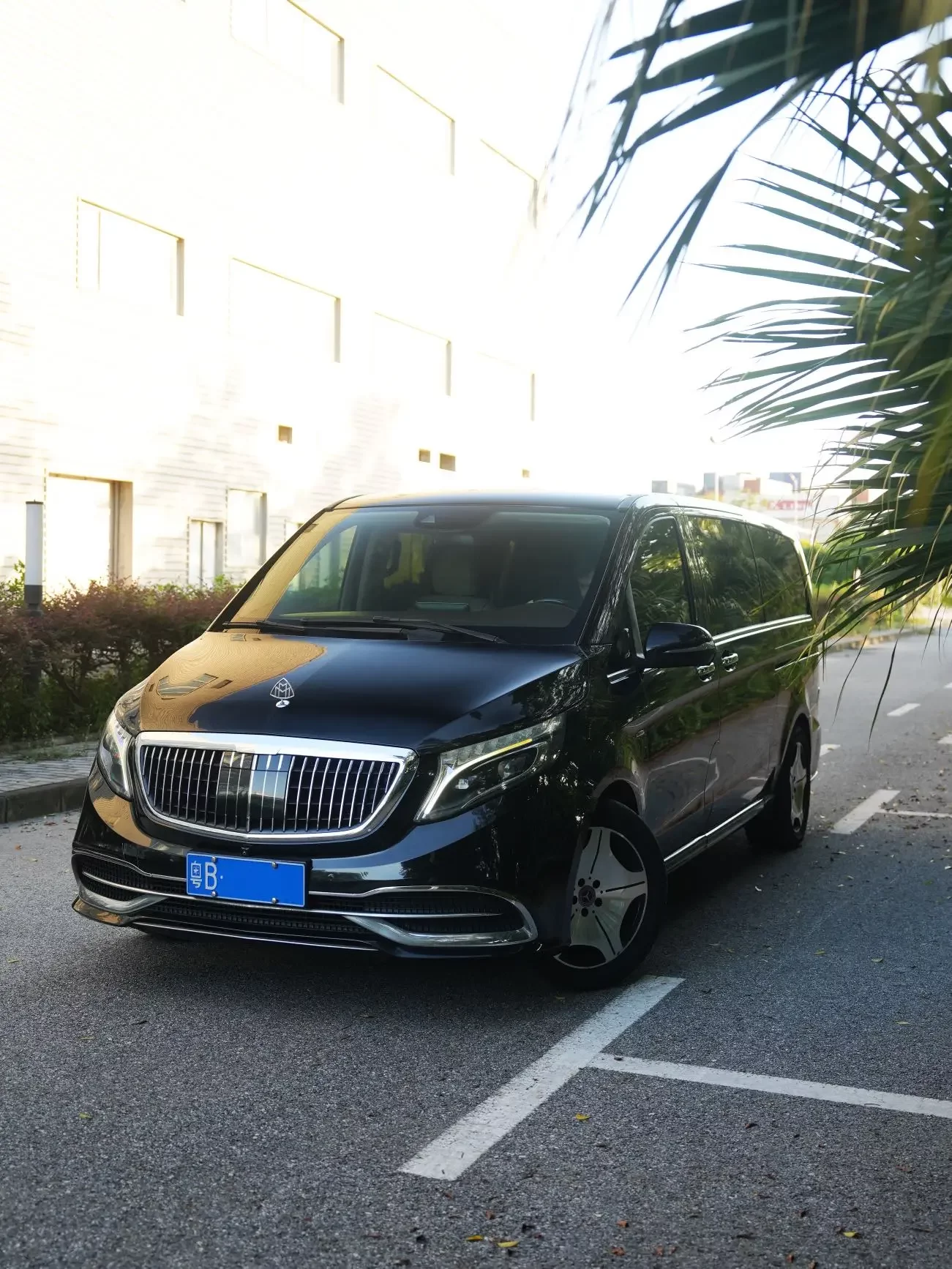 Mercedes-Benz V Class