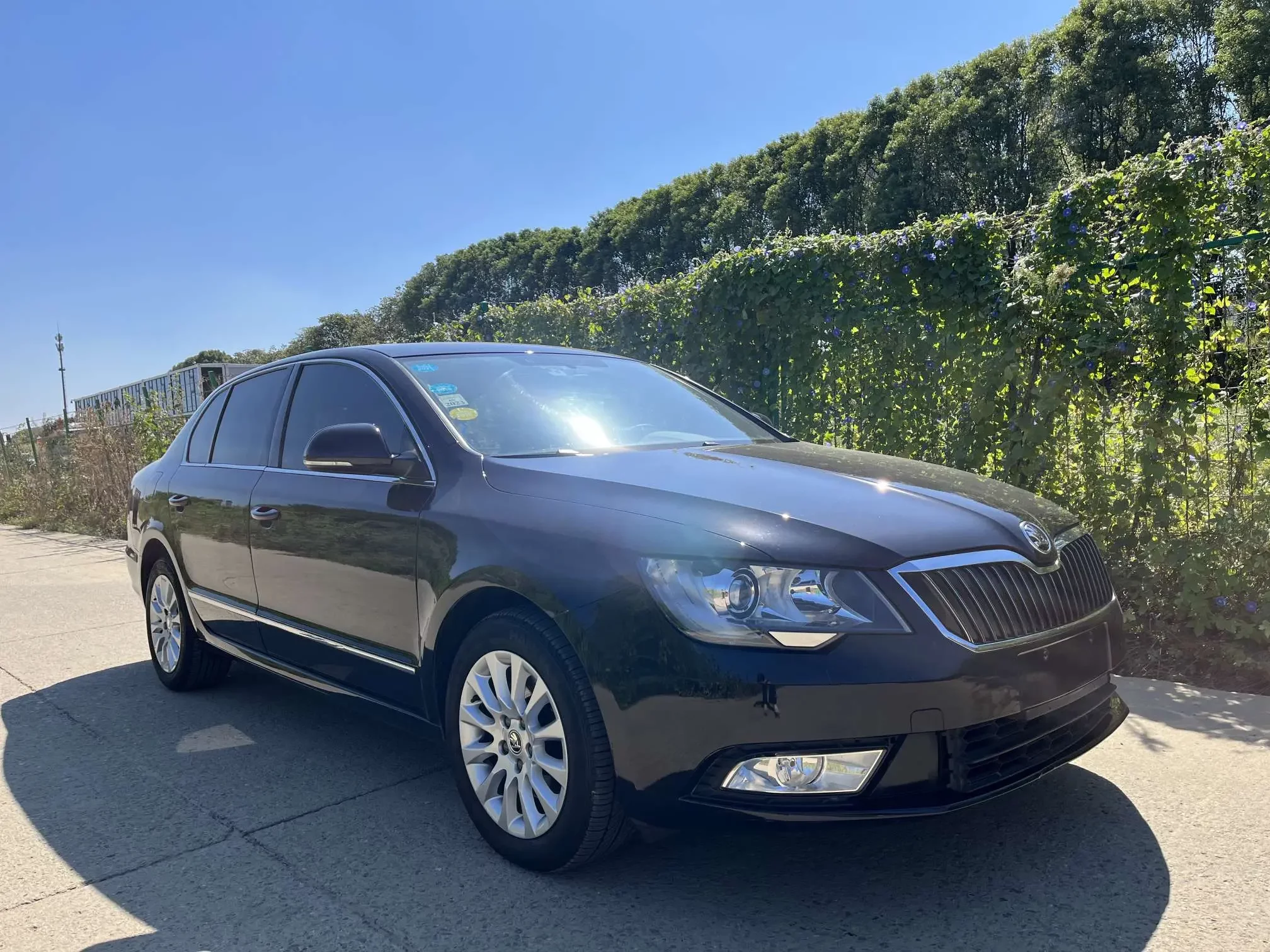 Skoda Speedy
