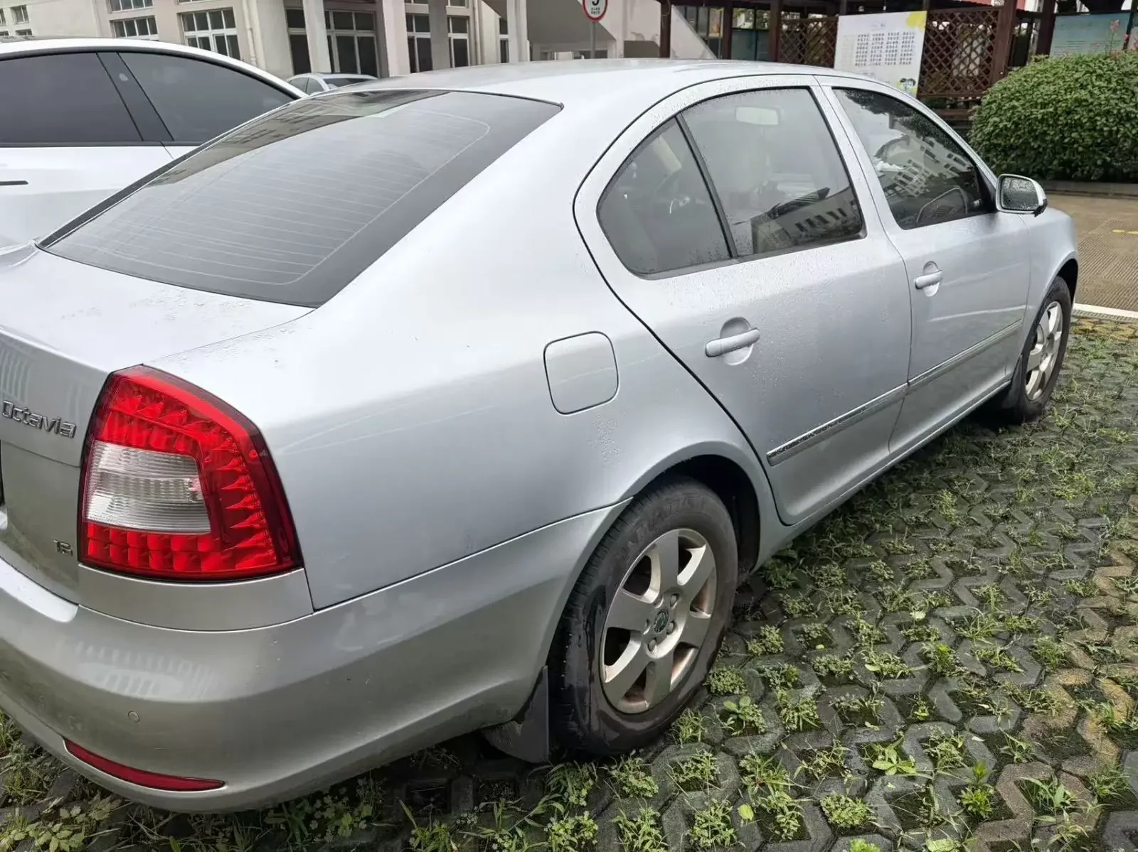 Skoda Octavia  из Китая
