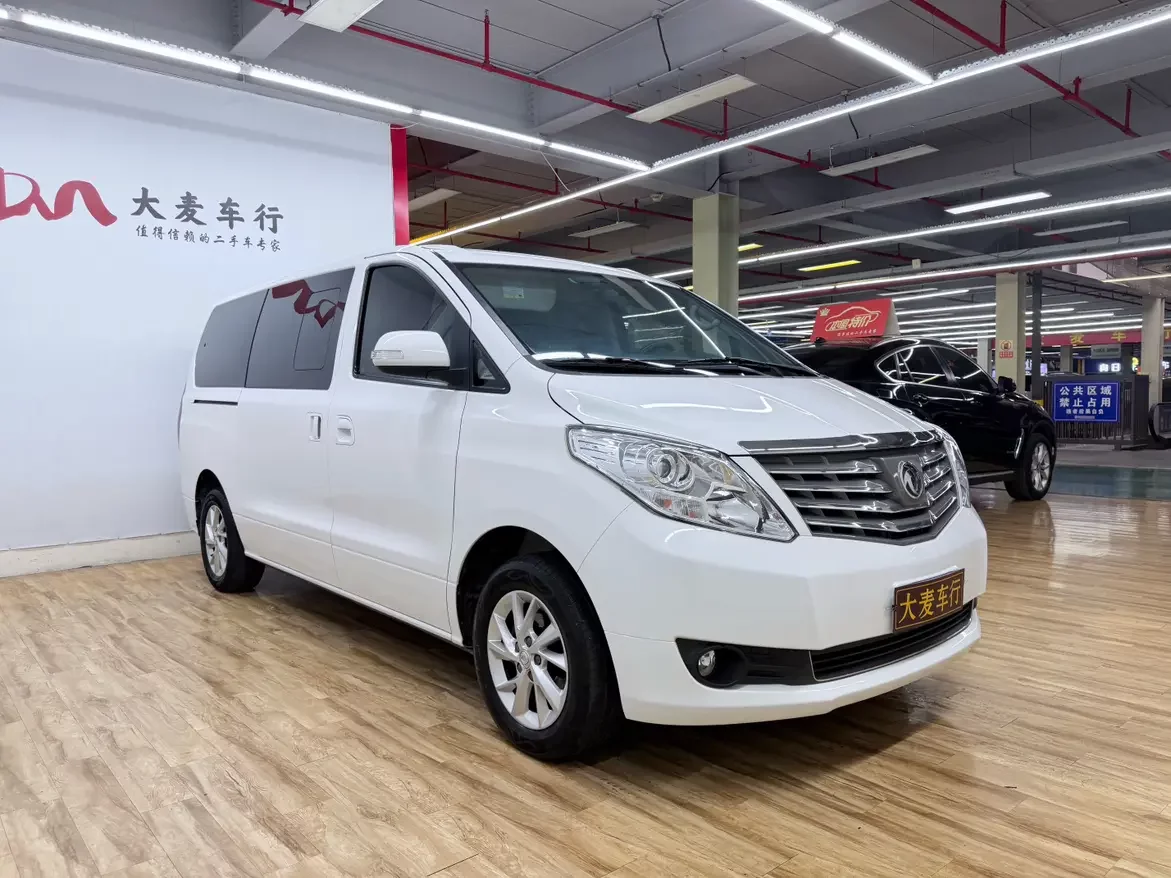 Forthing Lingzhi PLUS