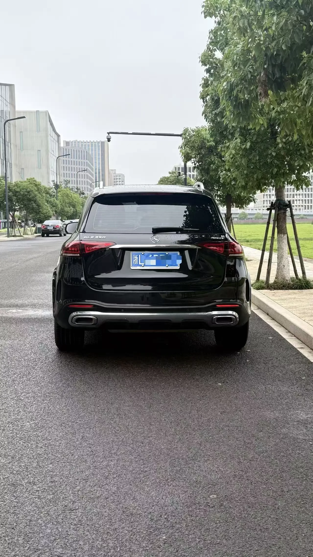 Mercedes-Benz GLE (Imported)