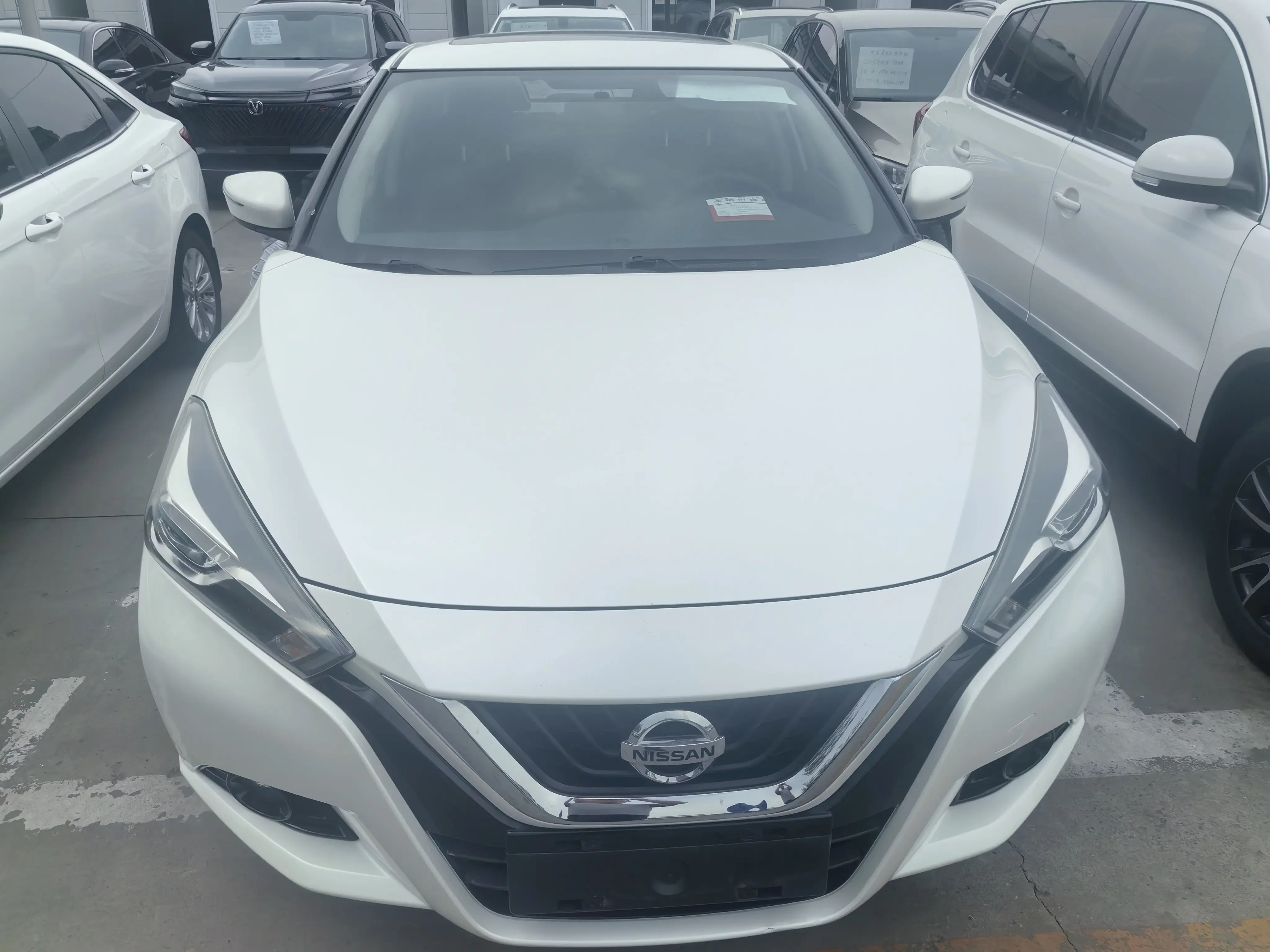 Nissan bluebird