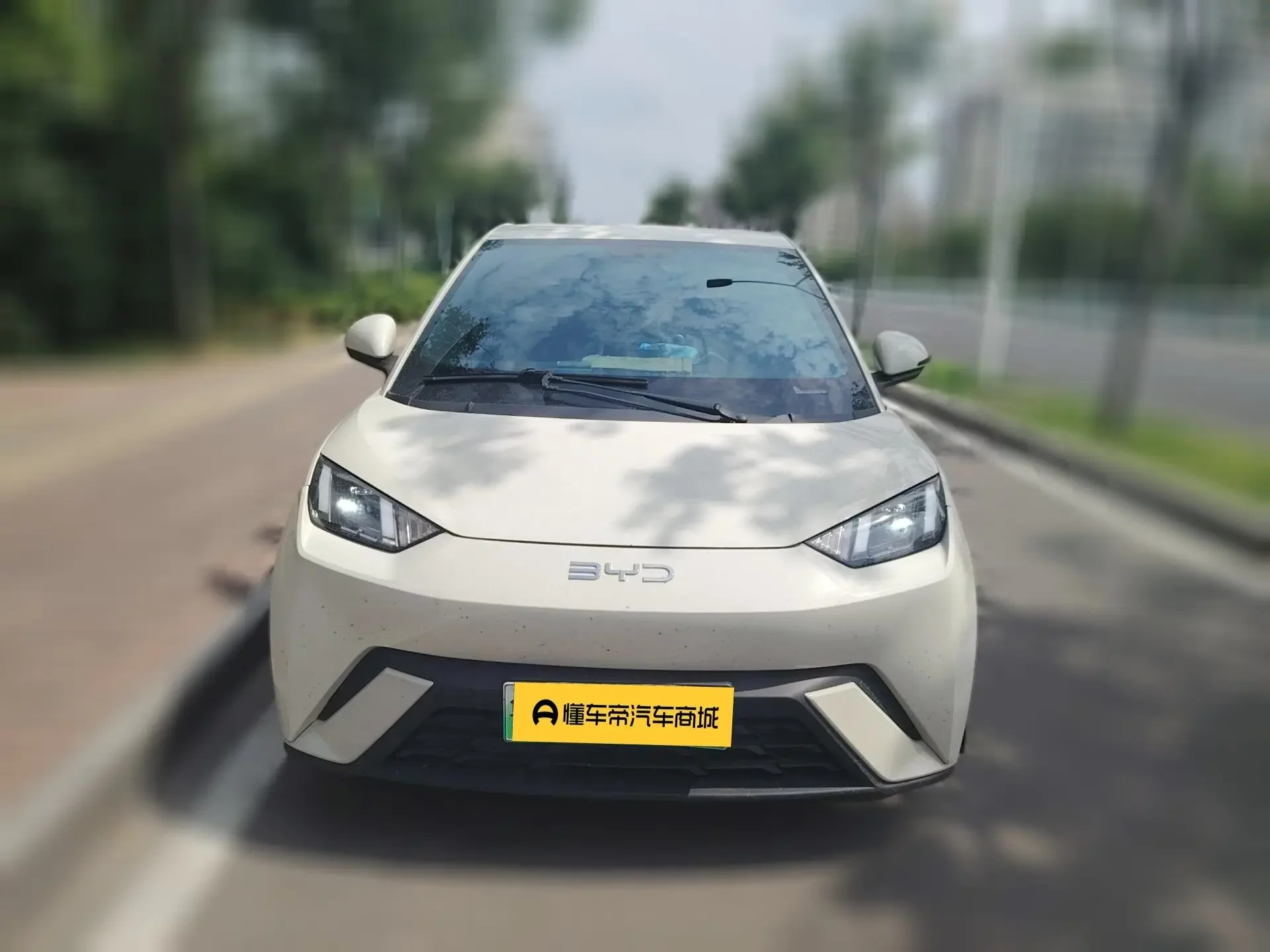 BYD seagull
